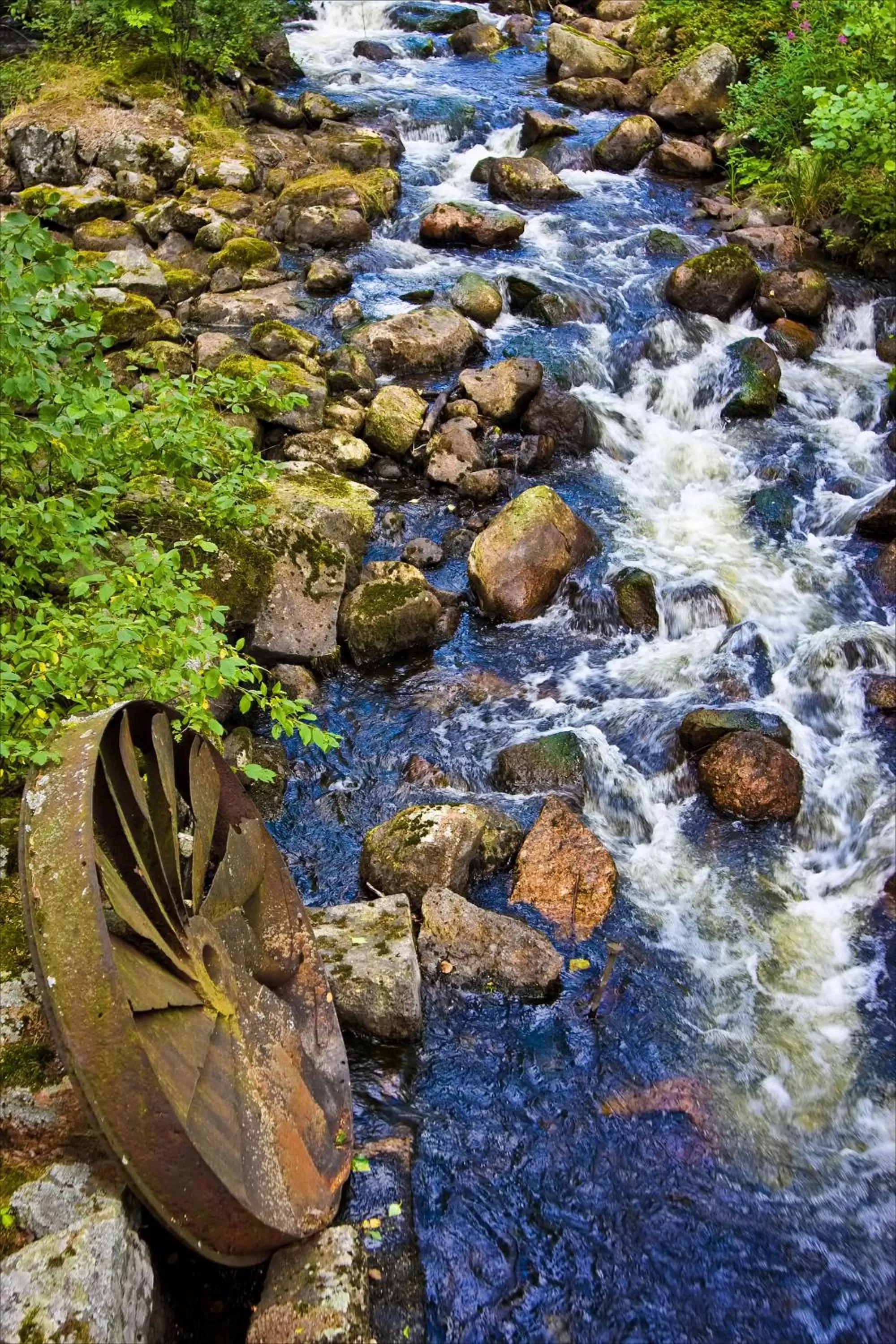 Spring, Other Animals in Sahanlahti Resort
