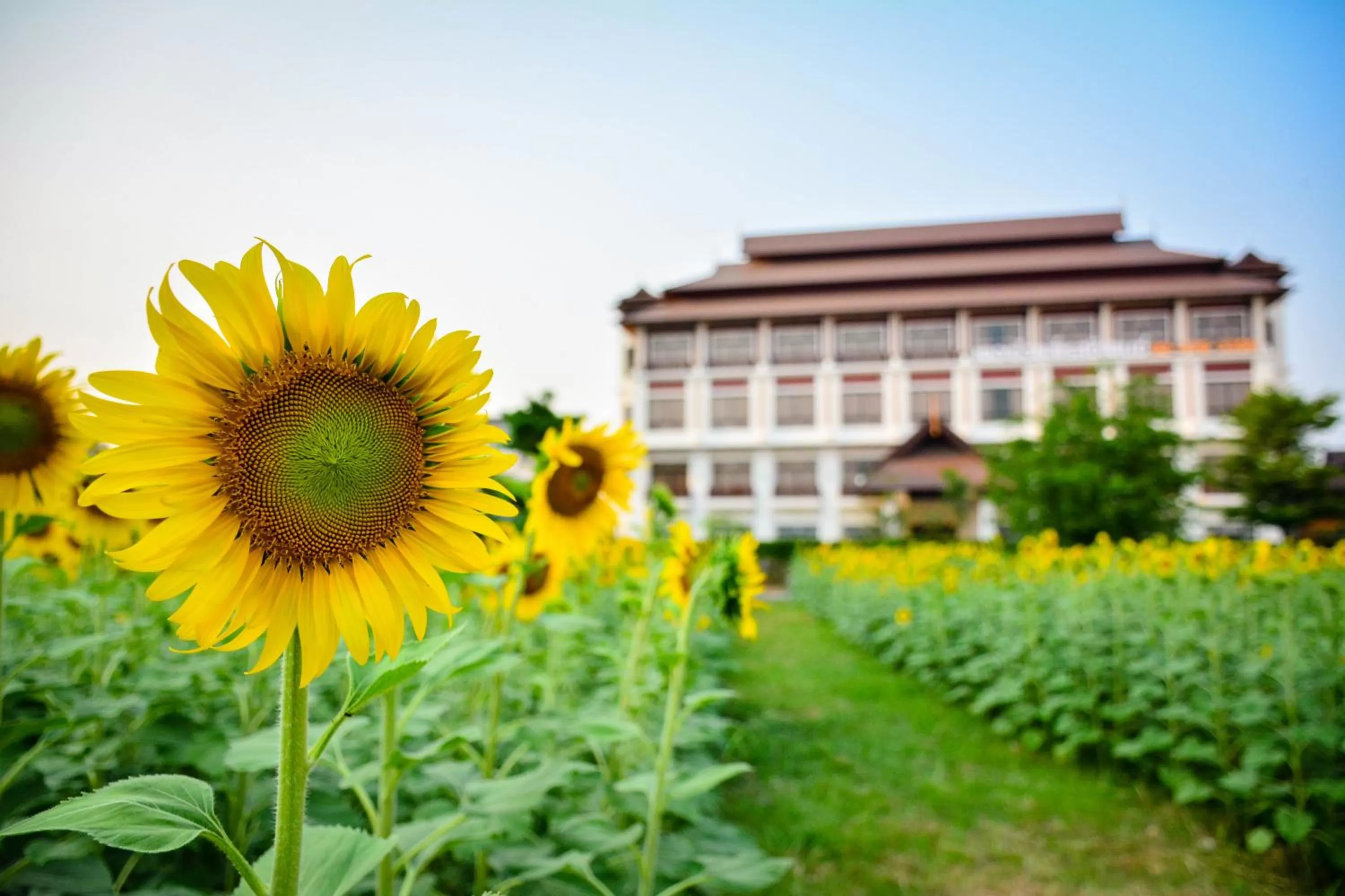 Property building in The Choice Hotel - Adults Only