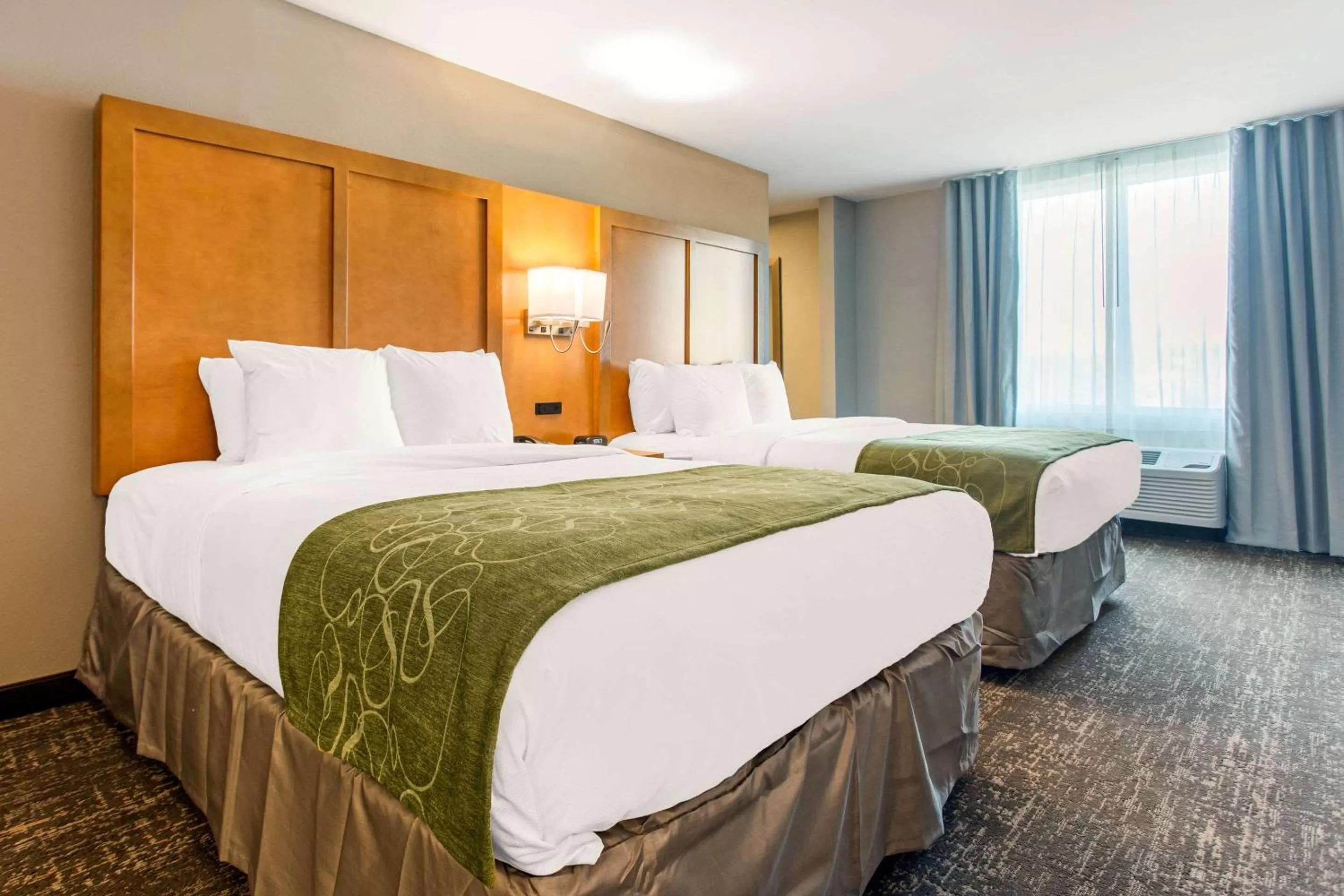 Photo of the whole room, Bed in Comfort Suites North Charleston - Ashley Phosphate