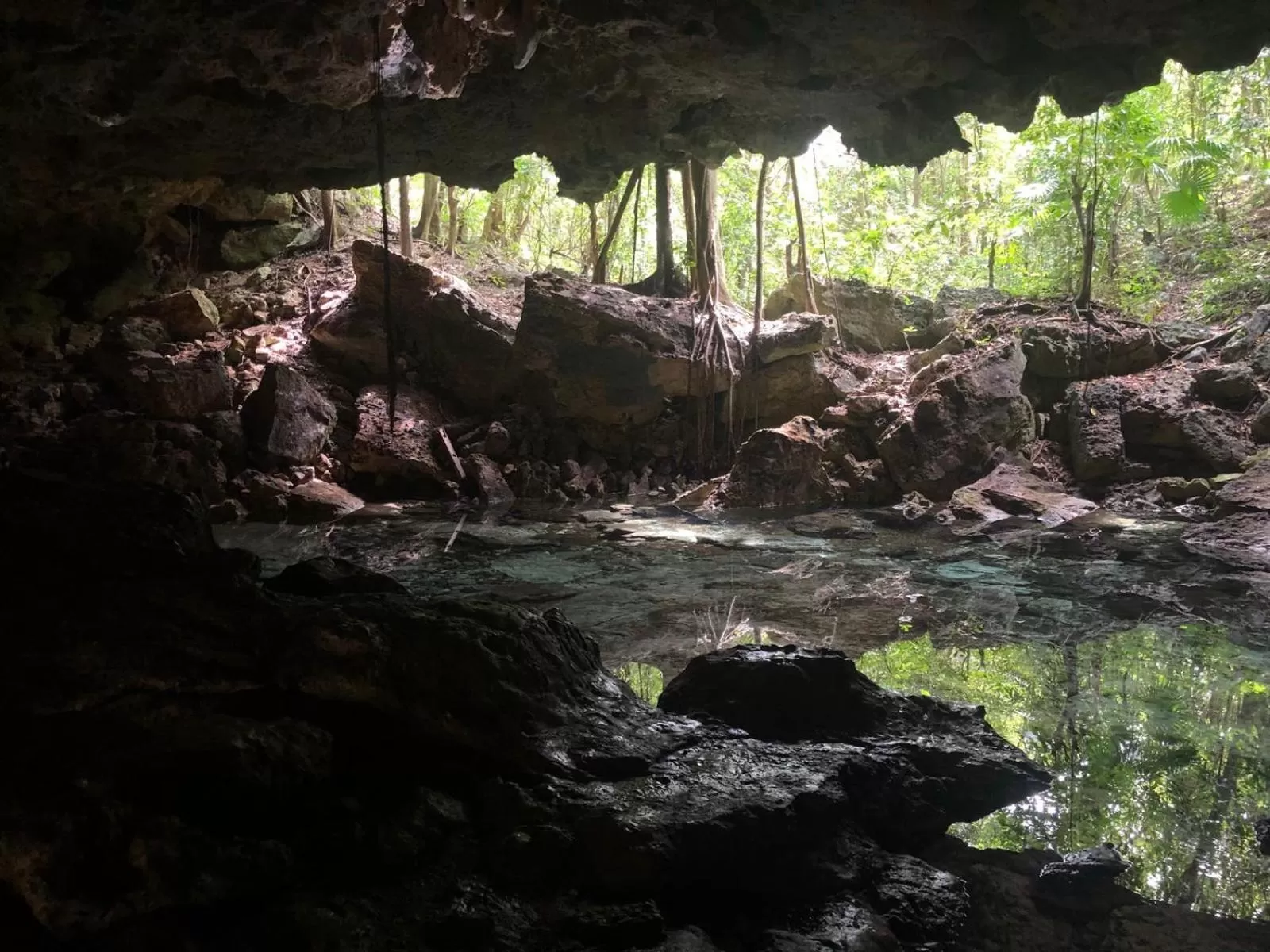 Nearby landmark in Quinta Santa Anita