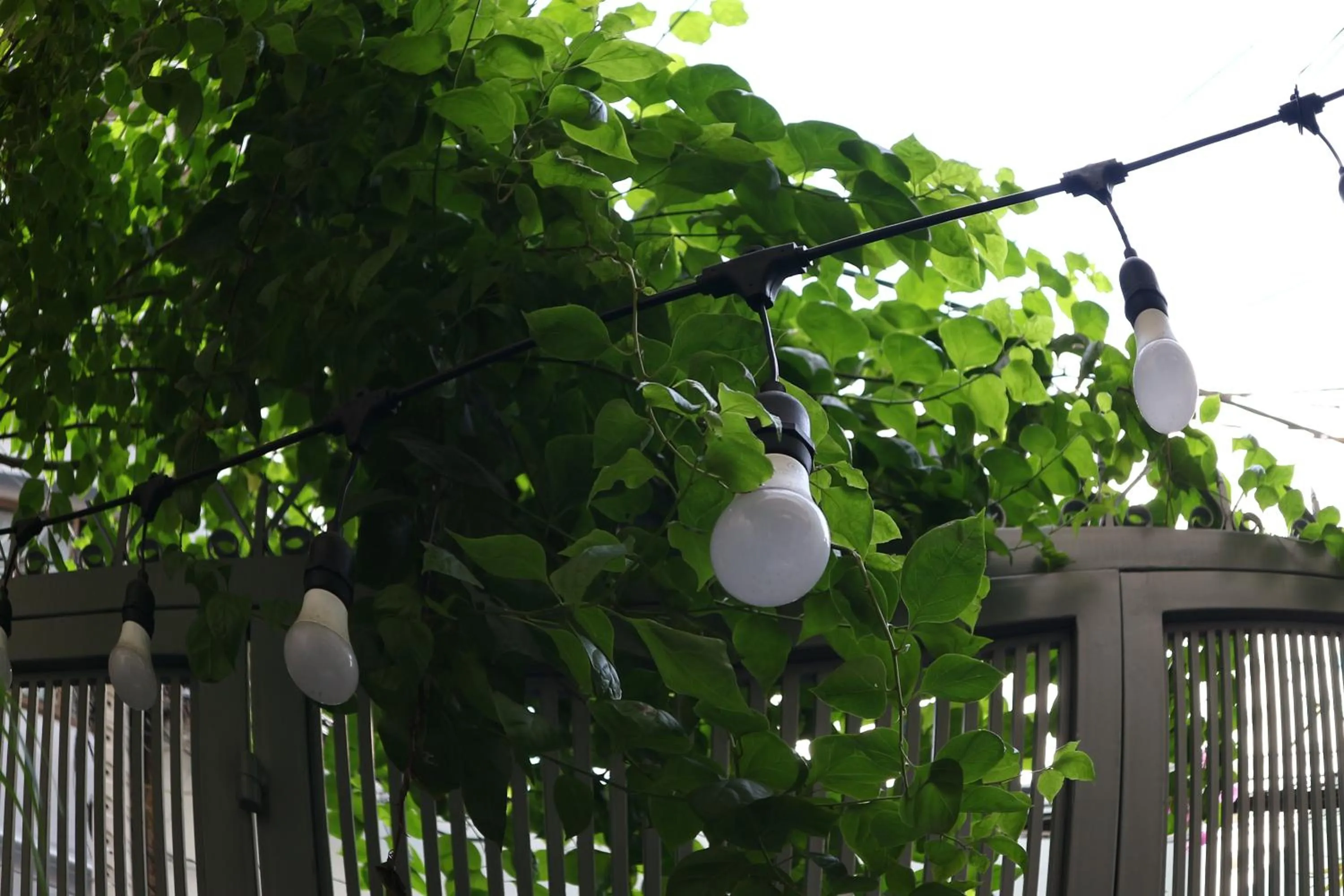 Patio in Long Hostel