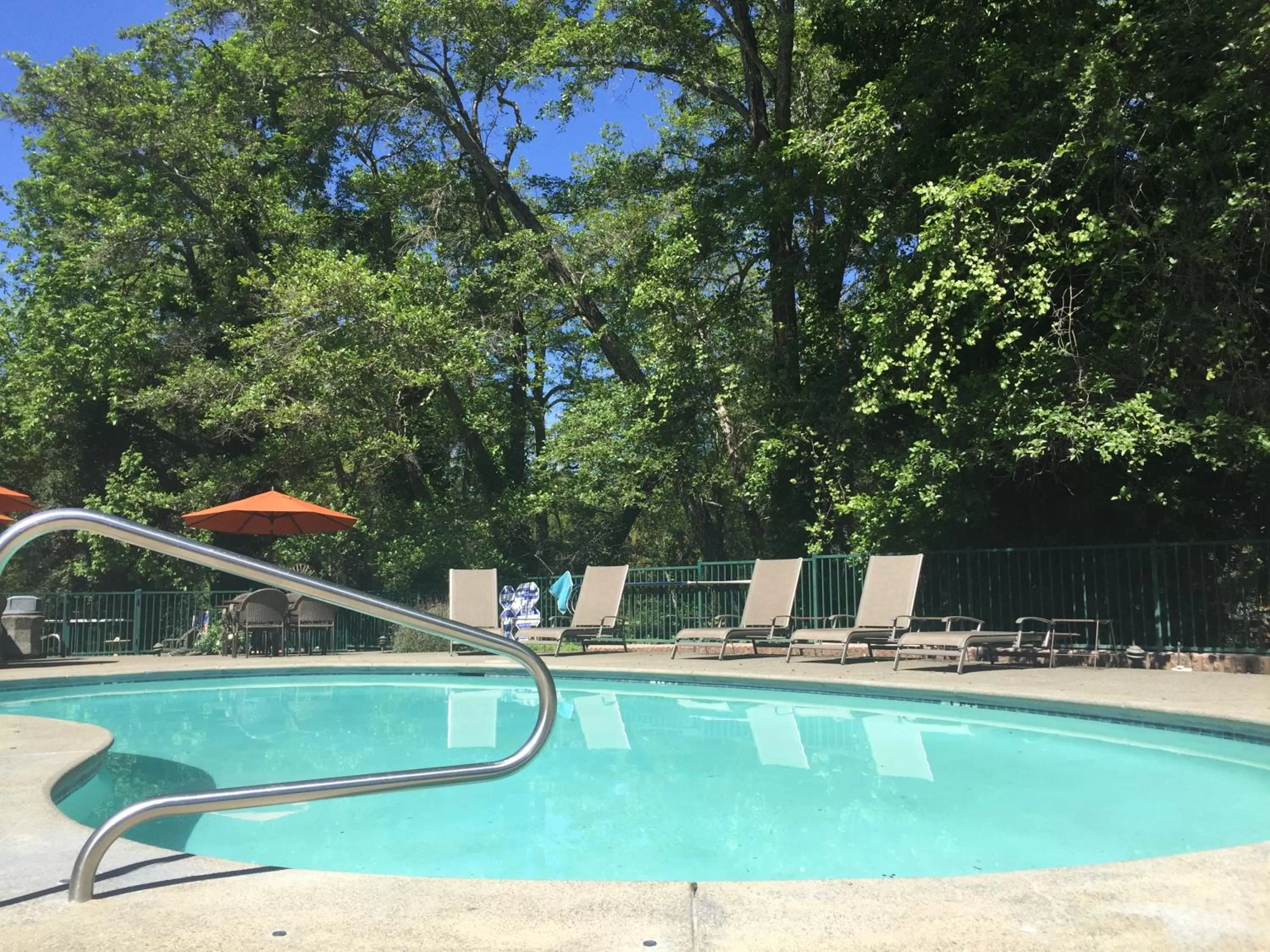 Swimming pool in The Jack London Lodge