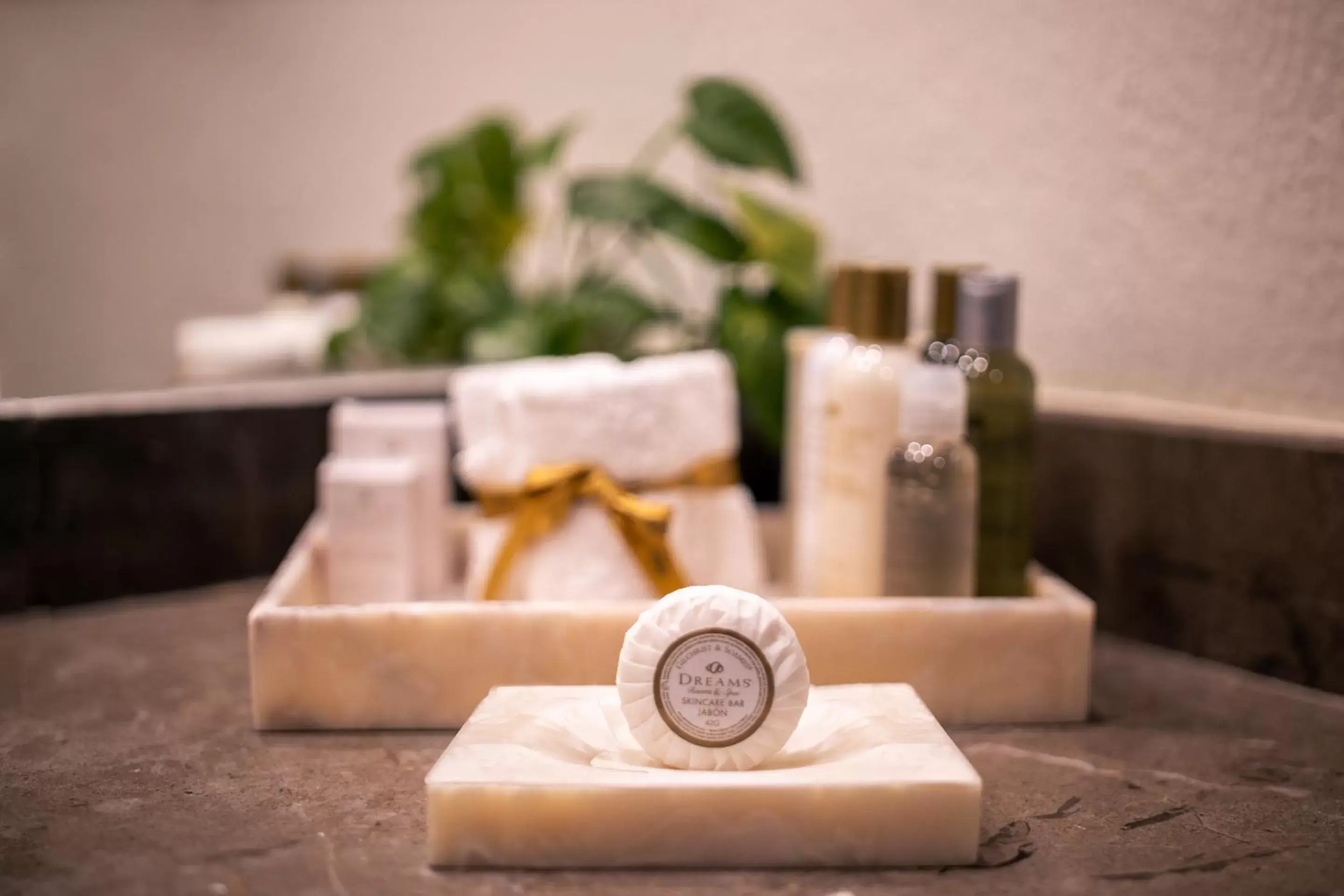 Deluxe King in Dreams Aventuras Riviera Maya Deluxe King in Dreams Aventuras Riviera Maya