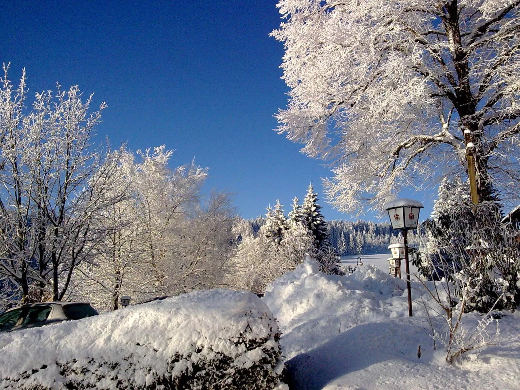 Natural landscape in ZUR TRAUBE Schwarzwaldhotel & Restaurant am Titisee