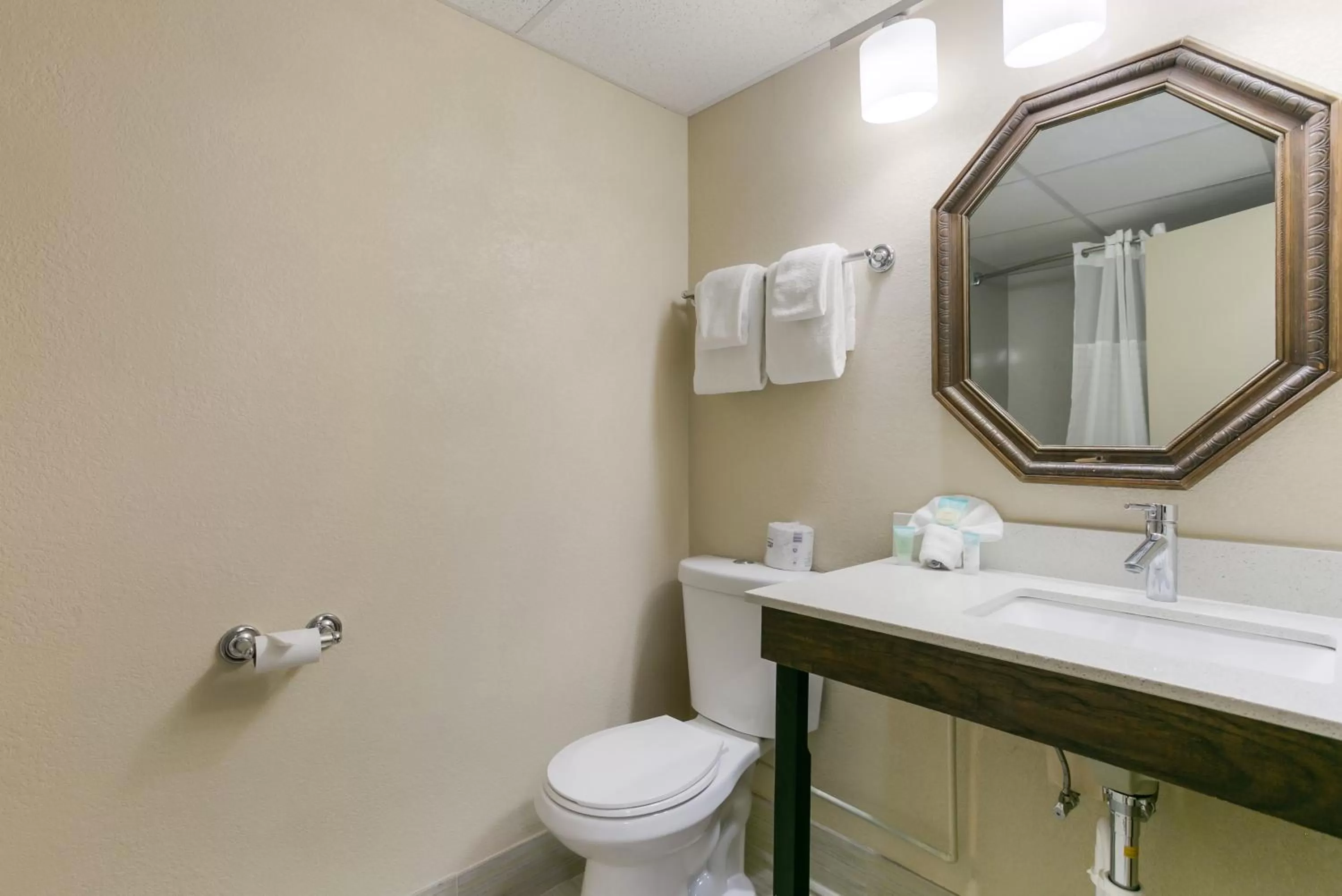 Bathroom in Eisenhower Hotel and Conference Center