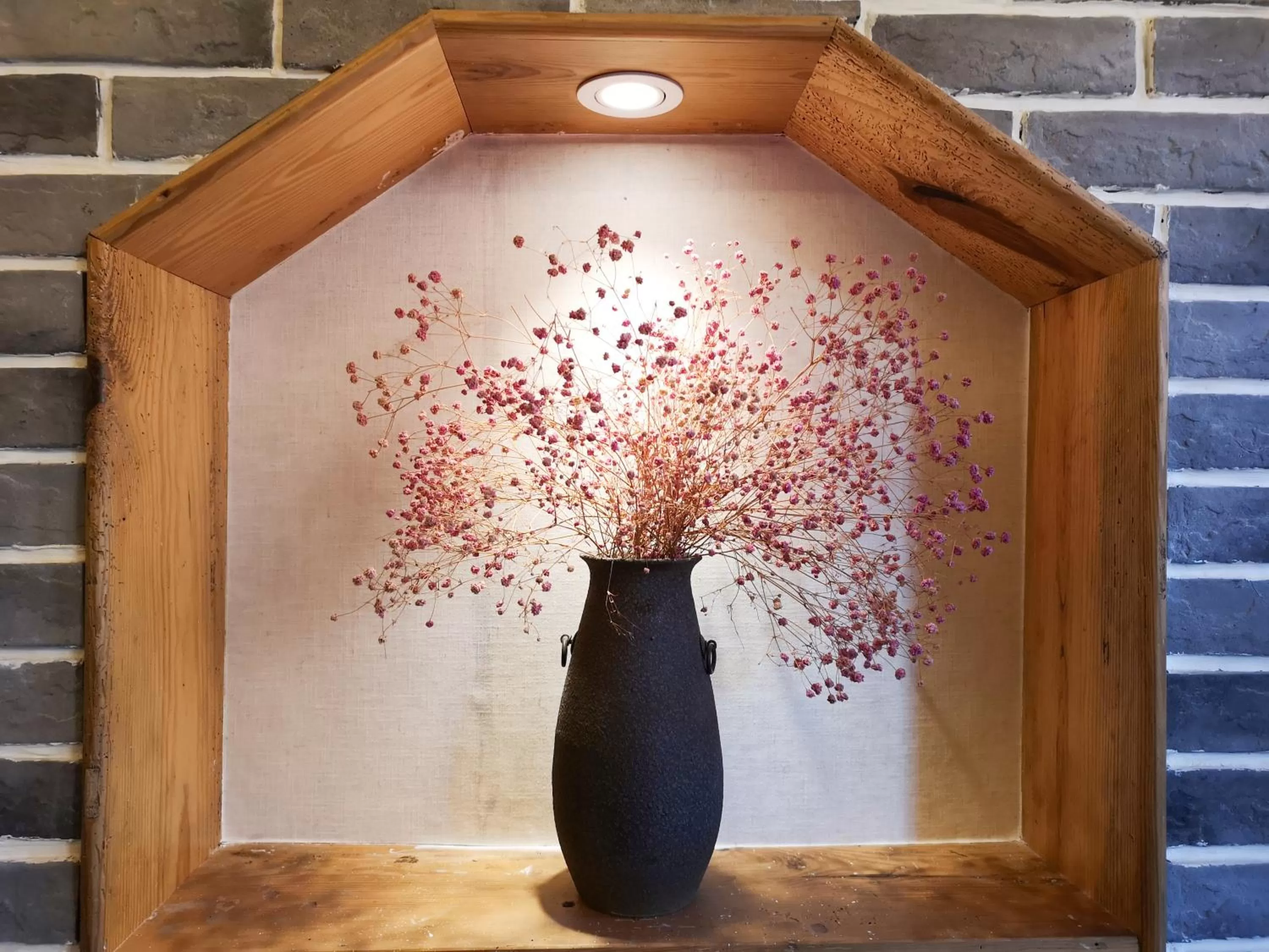 Animals in Yuelu Homestay