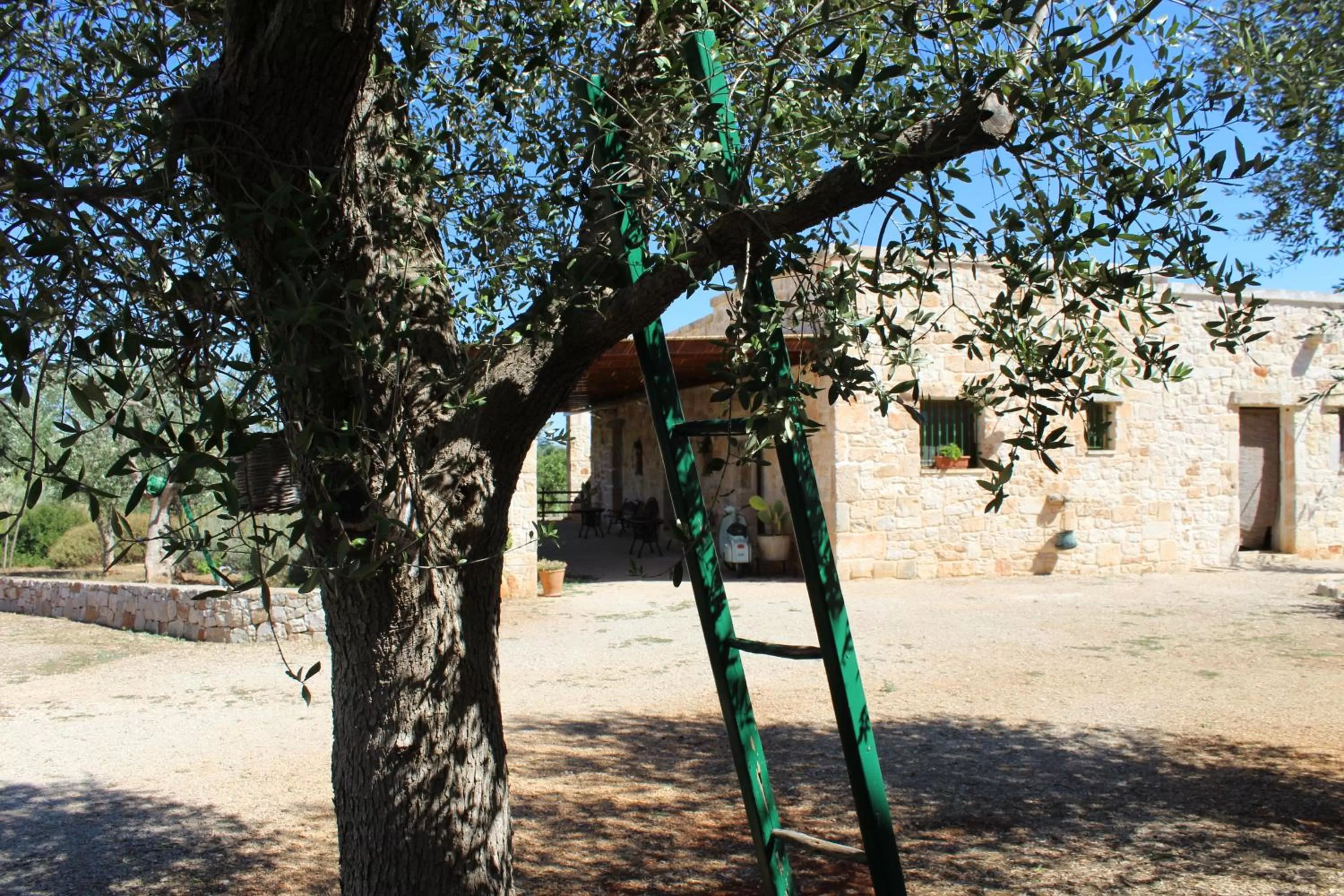 Decorative detail in Masseria Tolla
