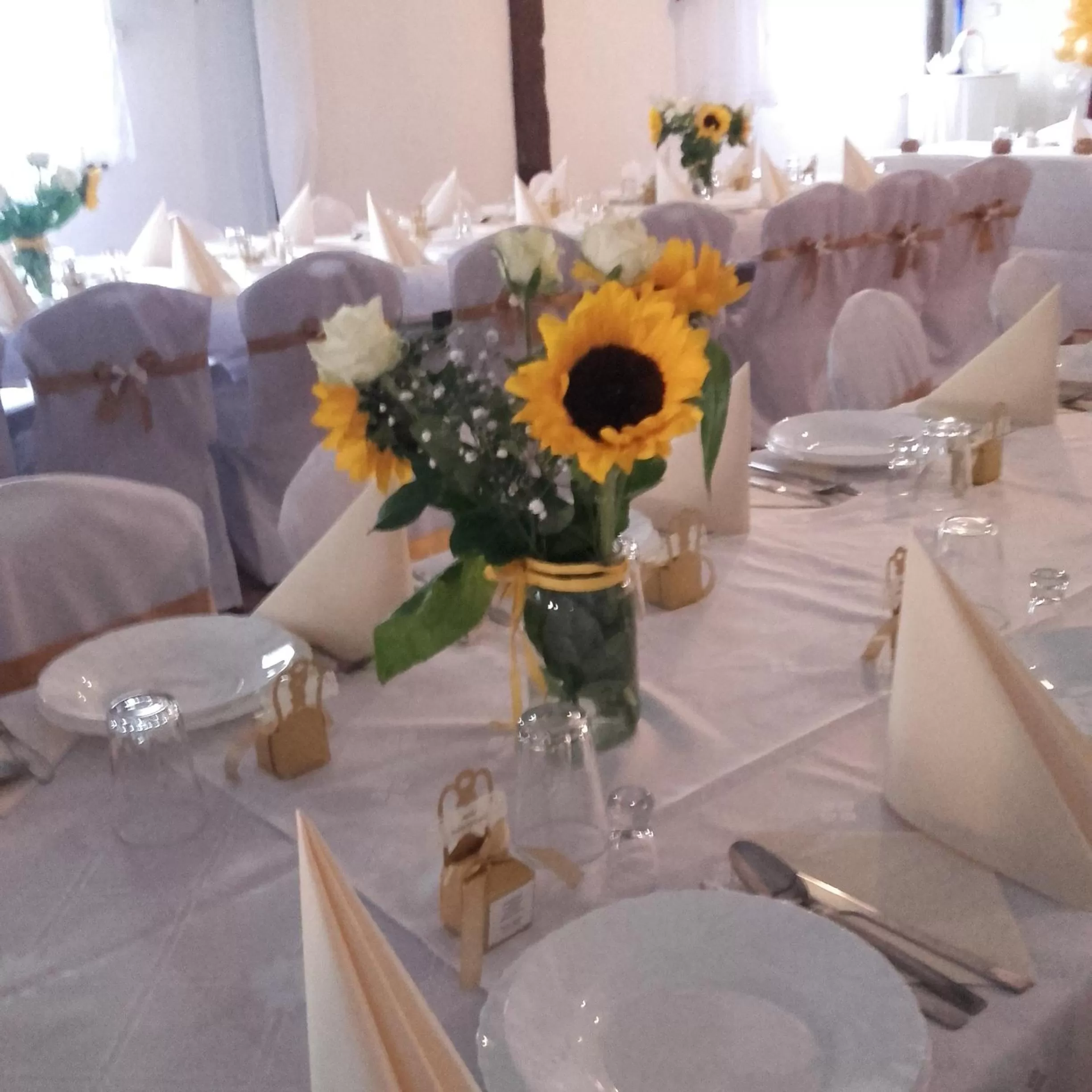 Property building, Banquet Facilities in Zajazd Eljan-Centrum Noclegowe