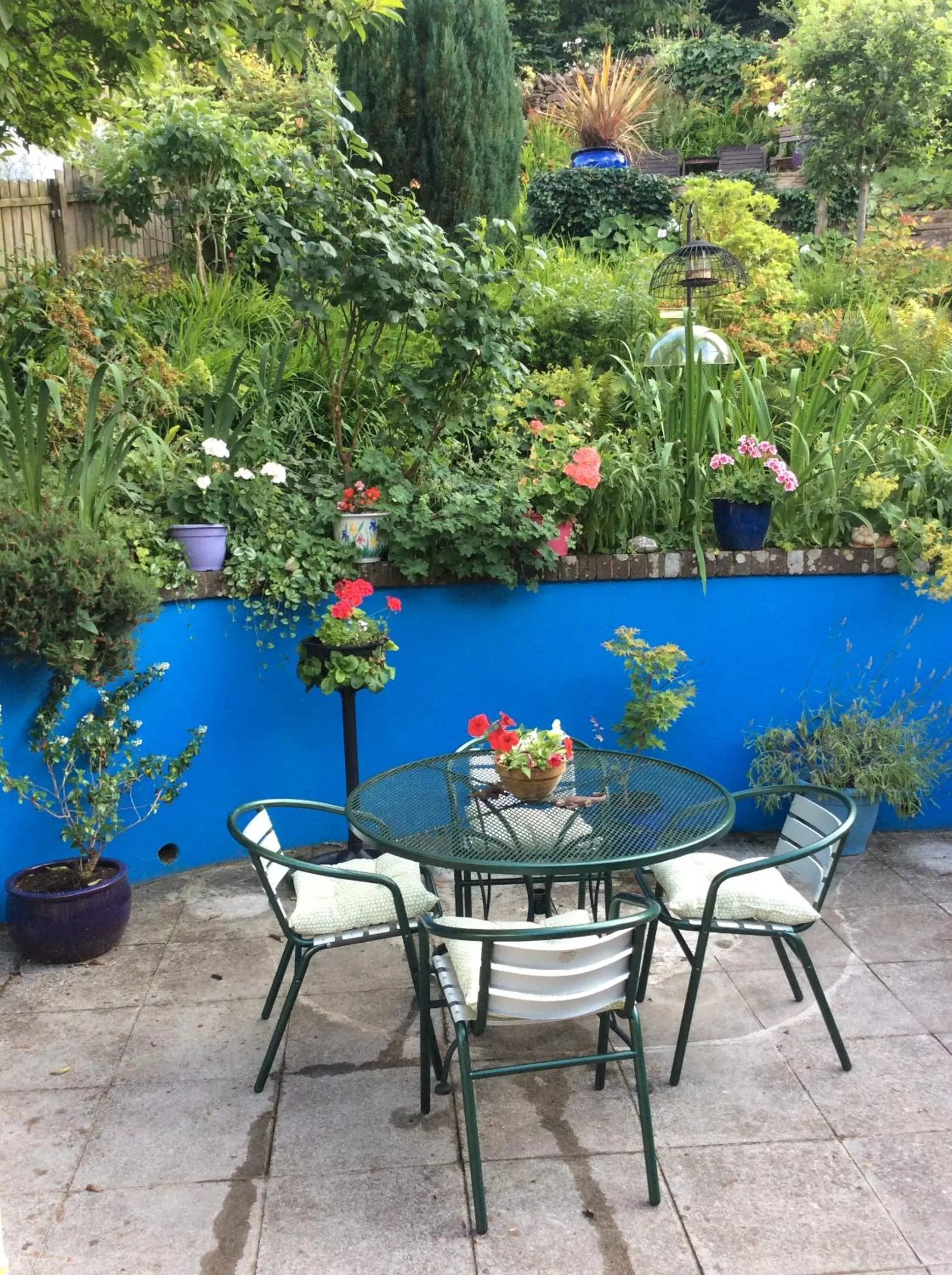 Garden in The Great Grubb