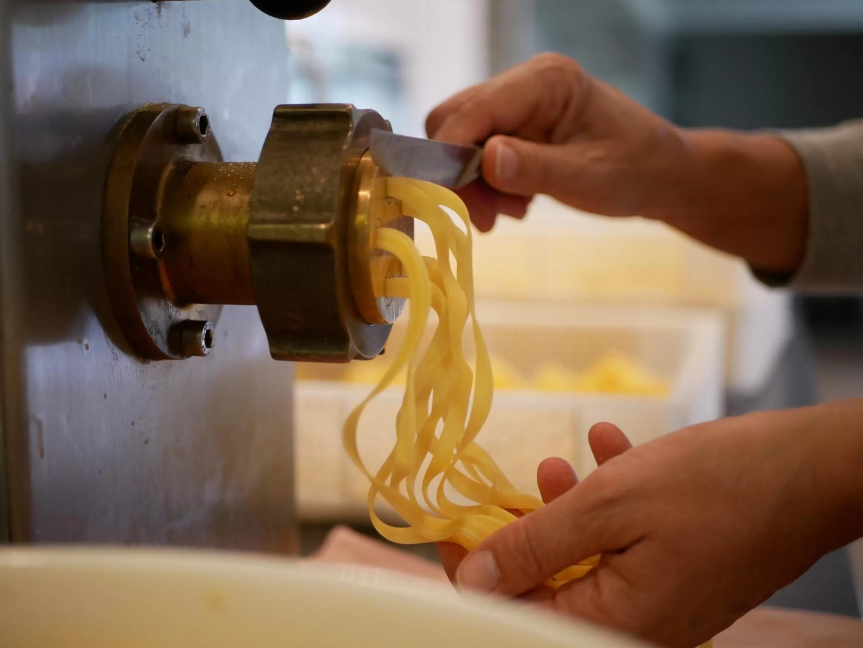 Food in Gasthof Ginzinger