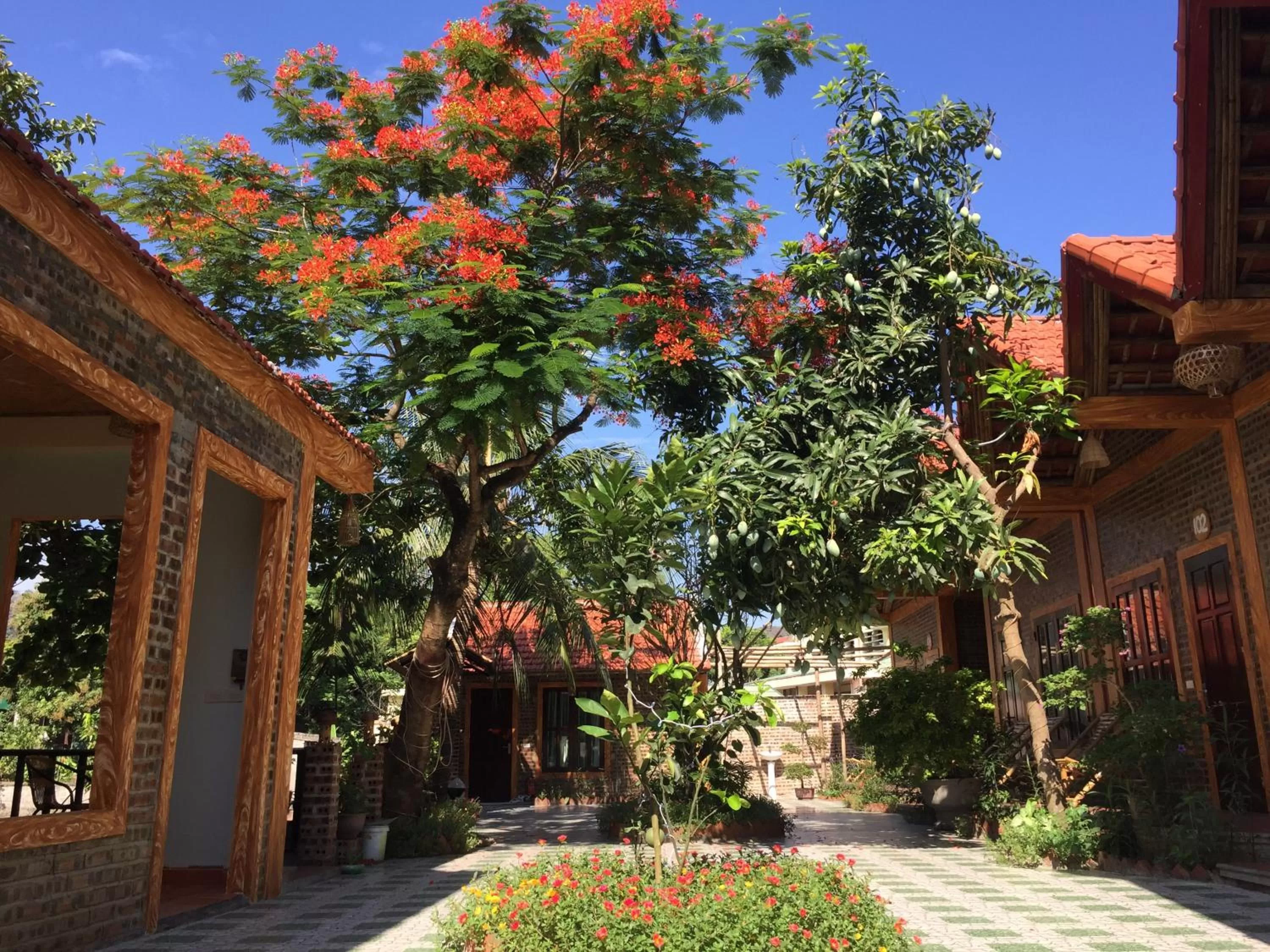 Day in Tam Coc Vinh Thinh Homestay