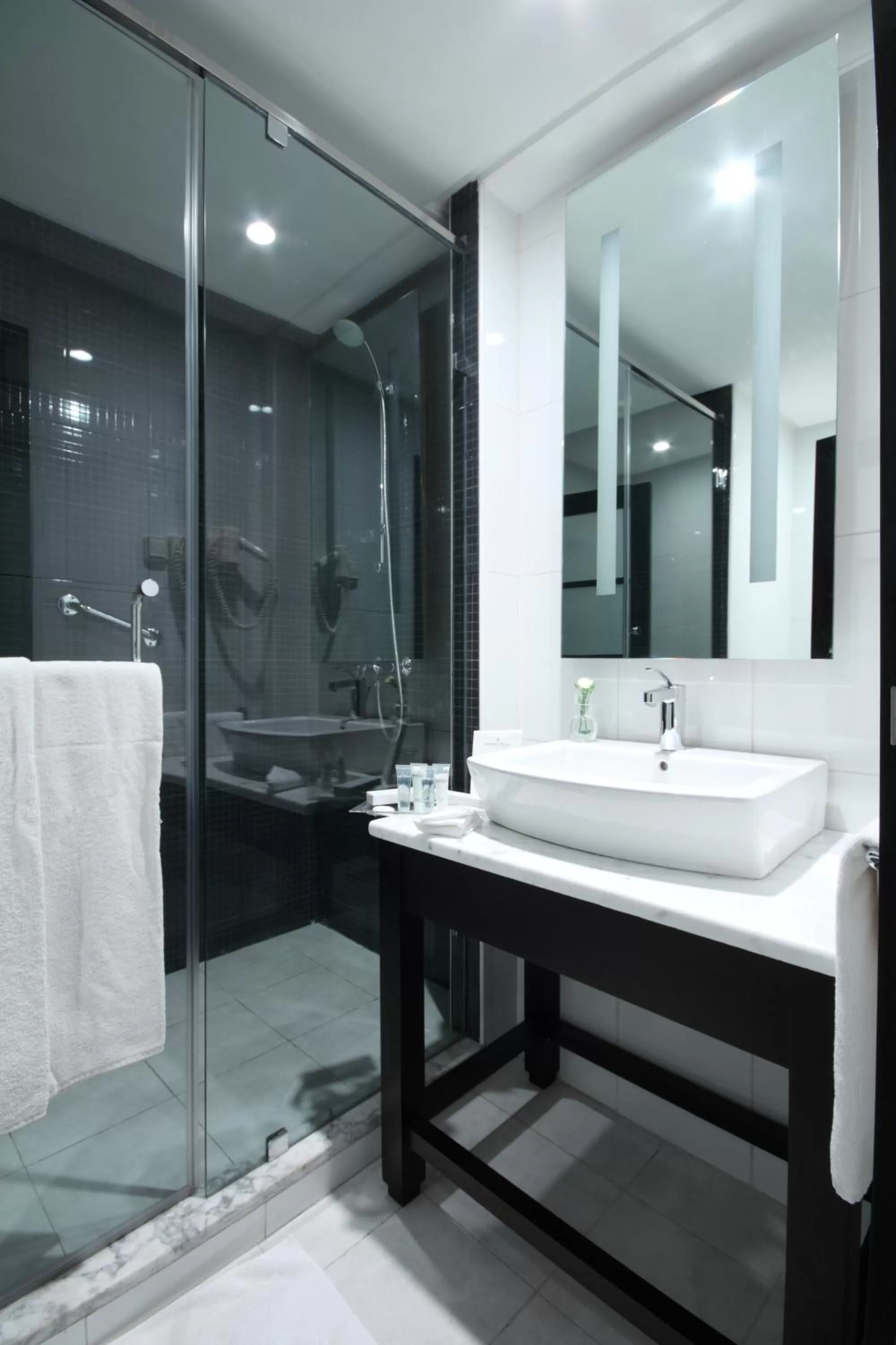 Shower in Golden Tulip El Mechtel