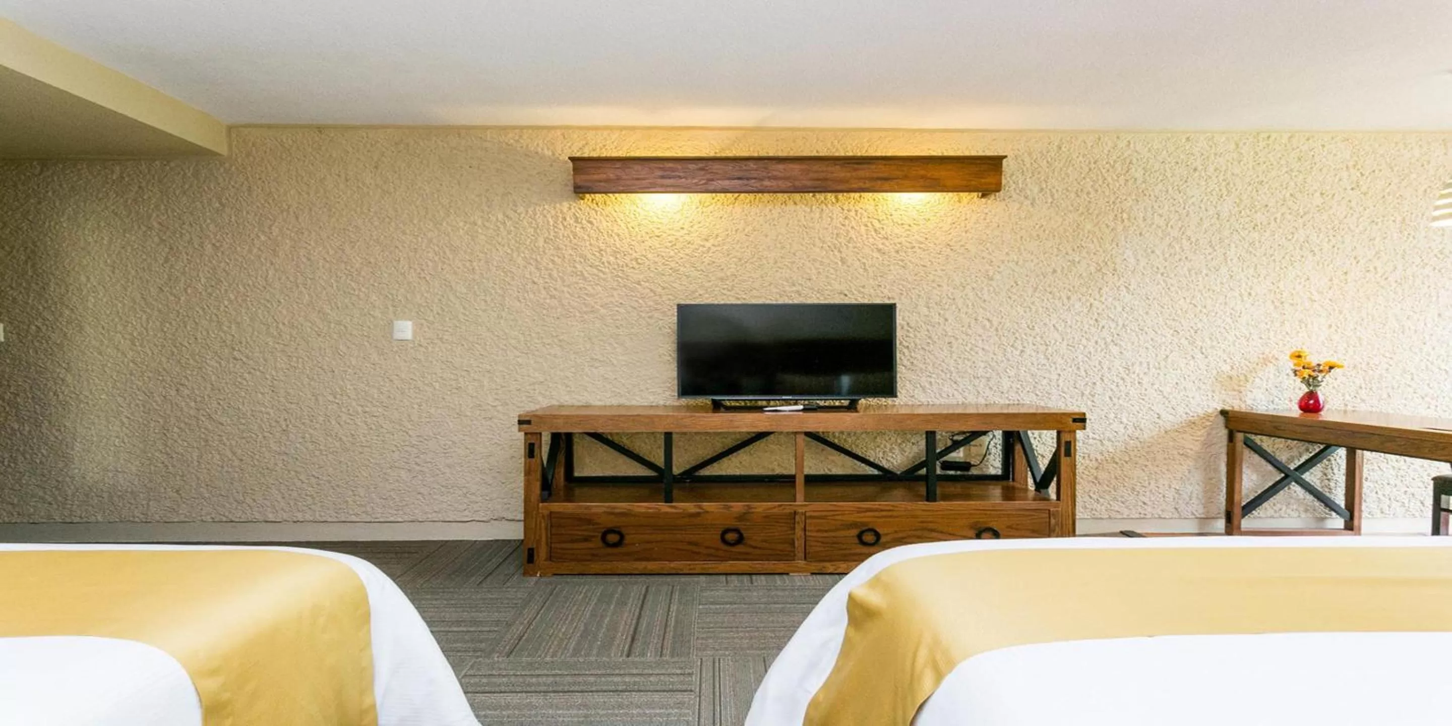 Executive in Real de Minas San Miguel de Allende