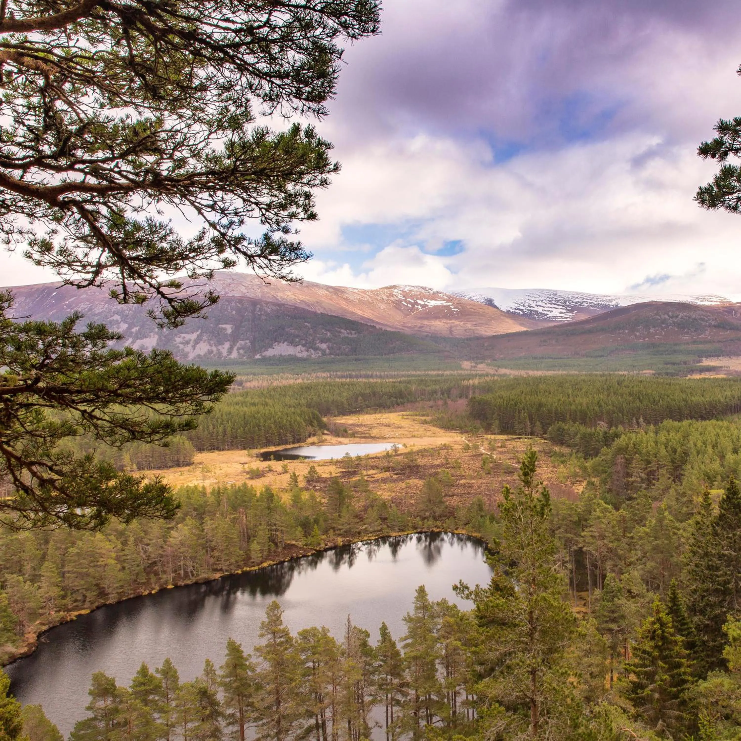 Nearby landmark in Boat Country Inn and Restaurant
