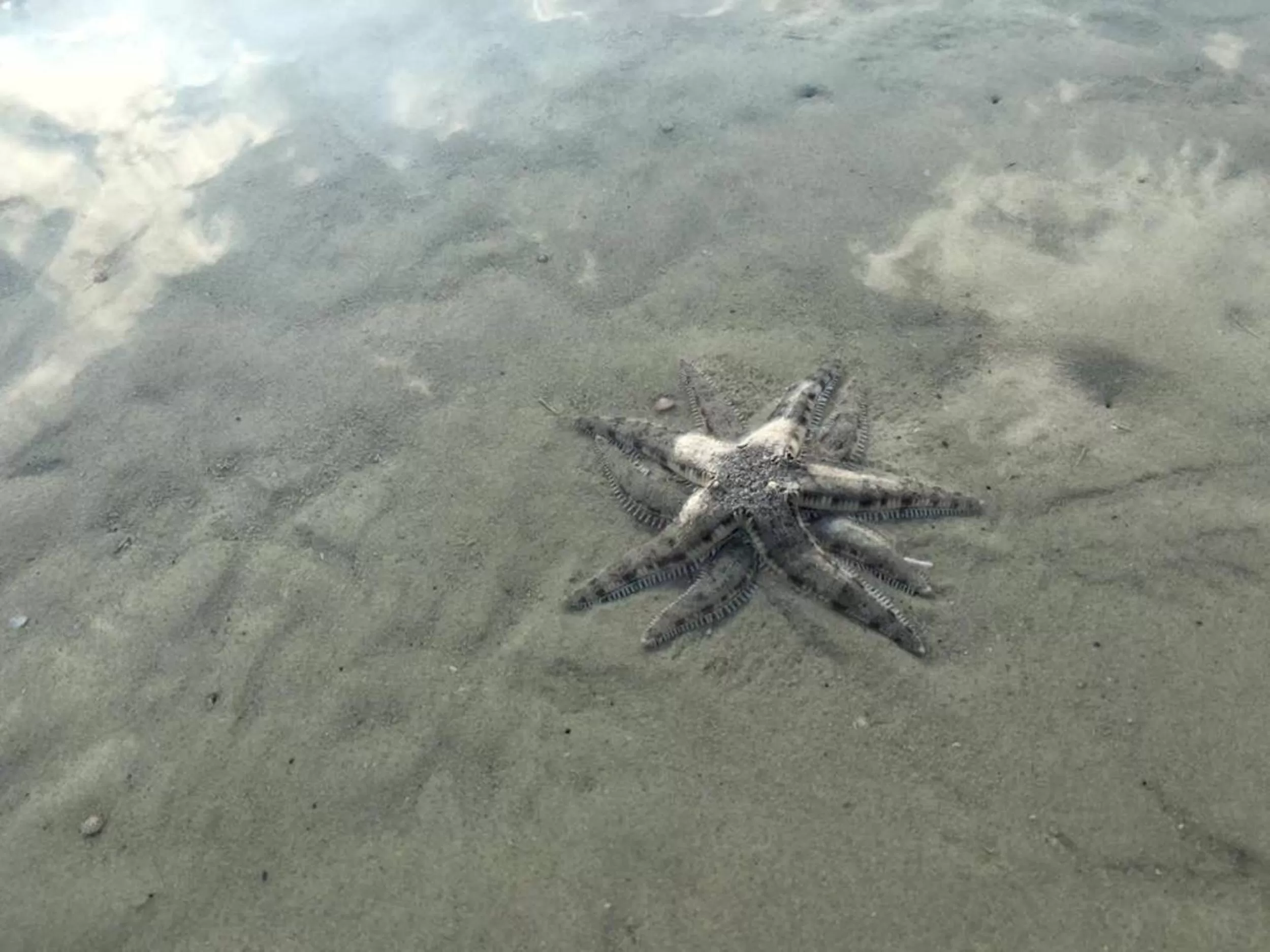 Property building, Other Animals in Prince John beachfront cottages and Restaurant
