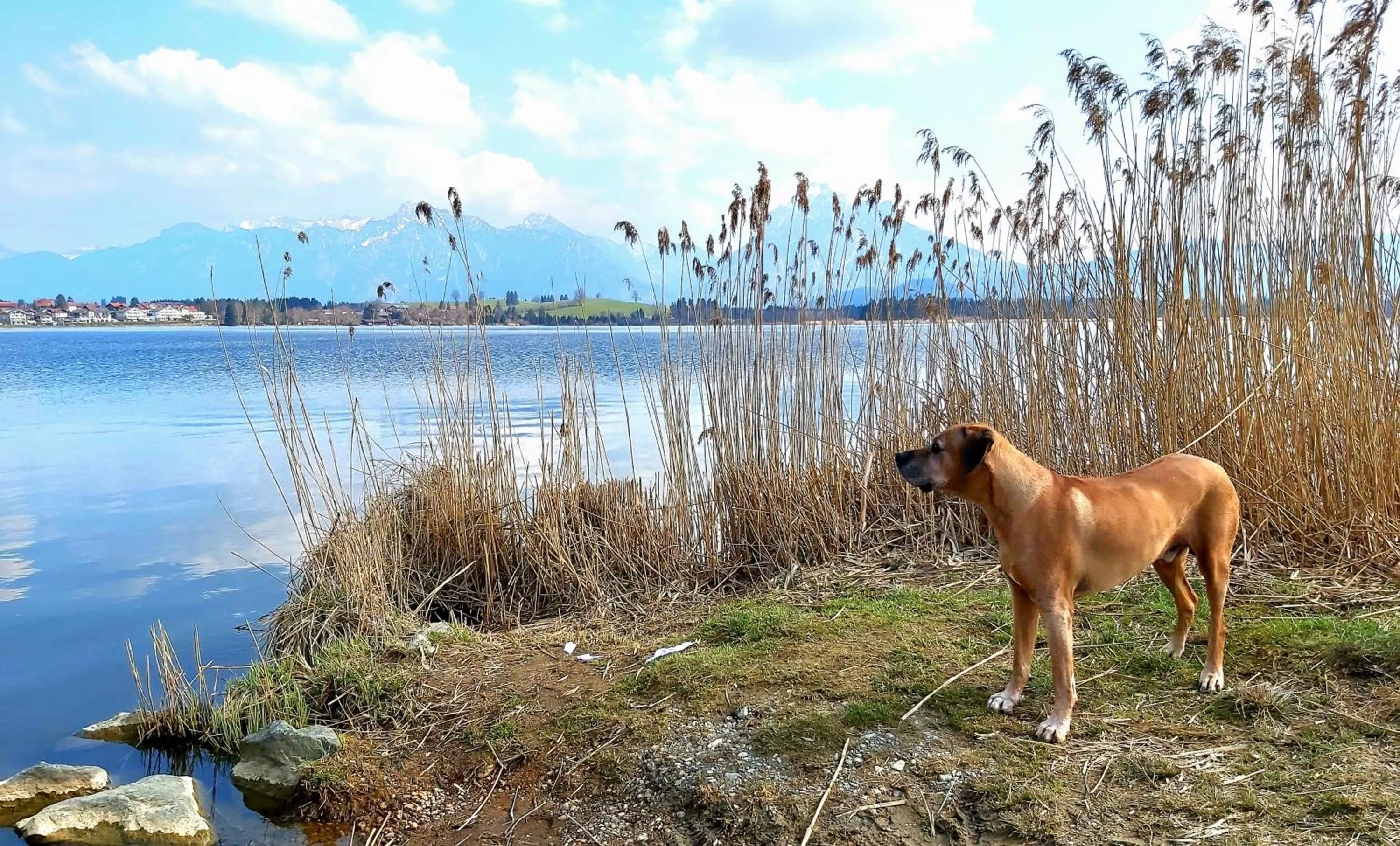 Nearby landmark in Ferienhaus und Landhaus Berger