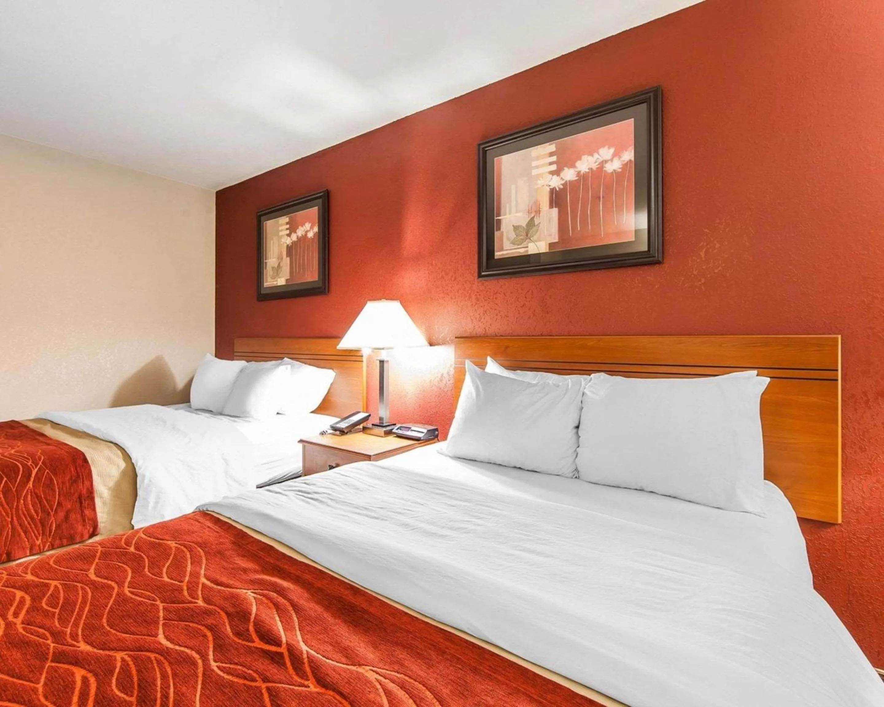 Photo of the whole room, Bed in Quality Inn Seaman