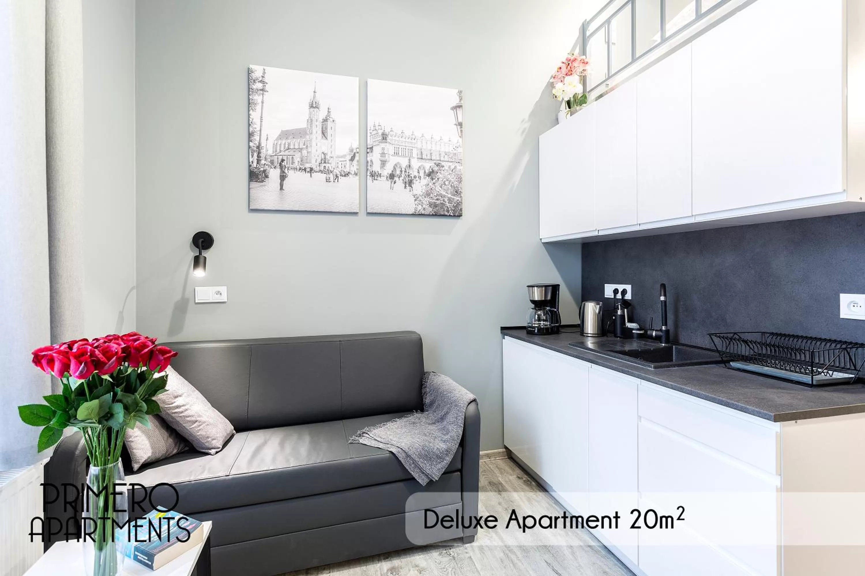 Kitchen or kitchenette in PRIMERO Elegant Apartments KRAKÓW Old Town