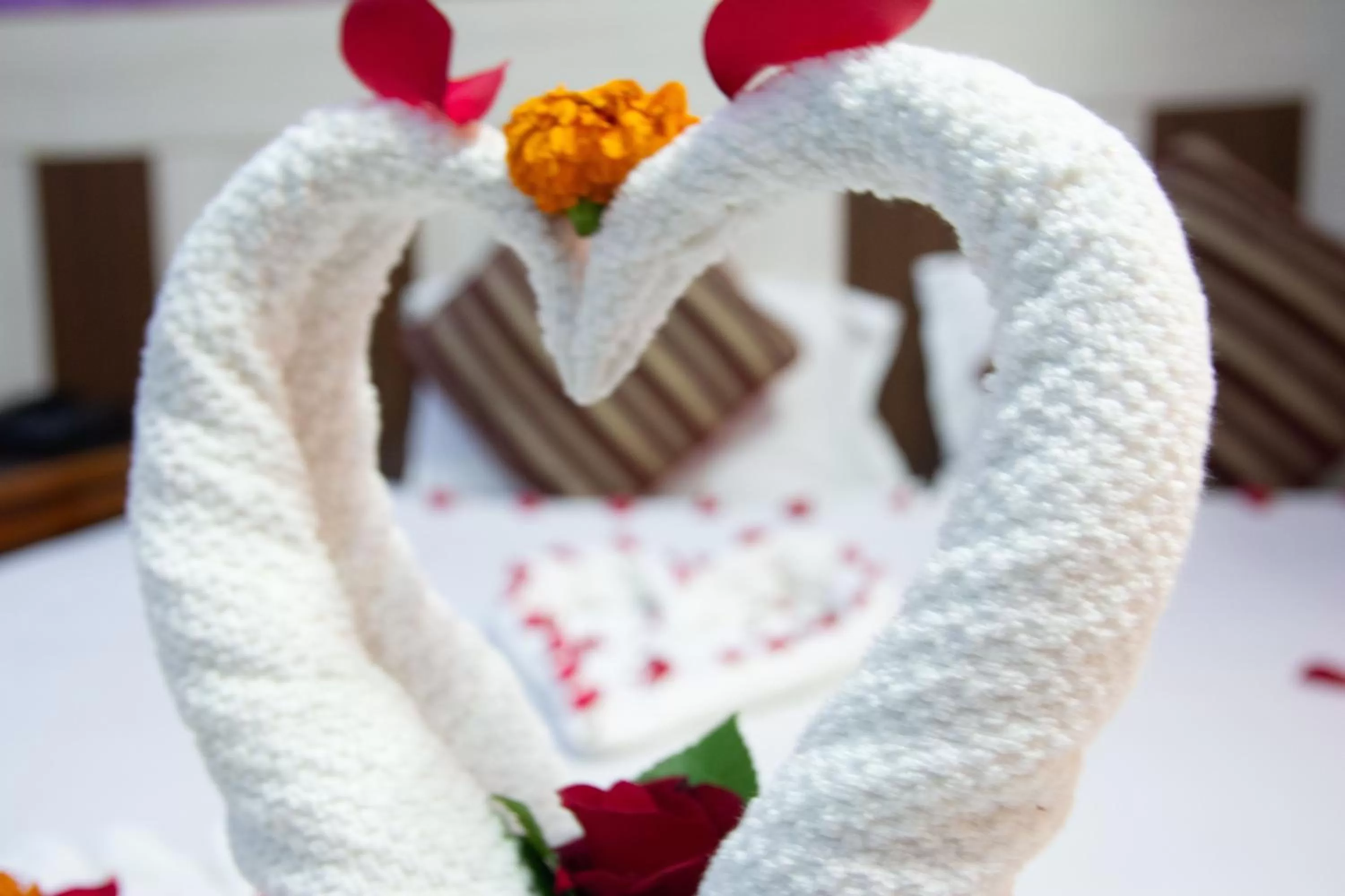 Hotel Middle Point Pvt Ltd