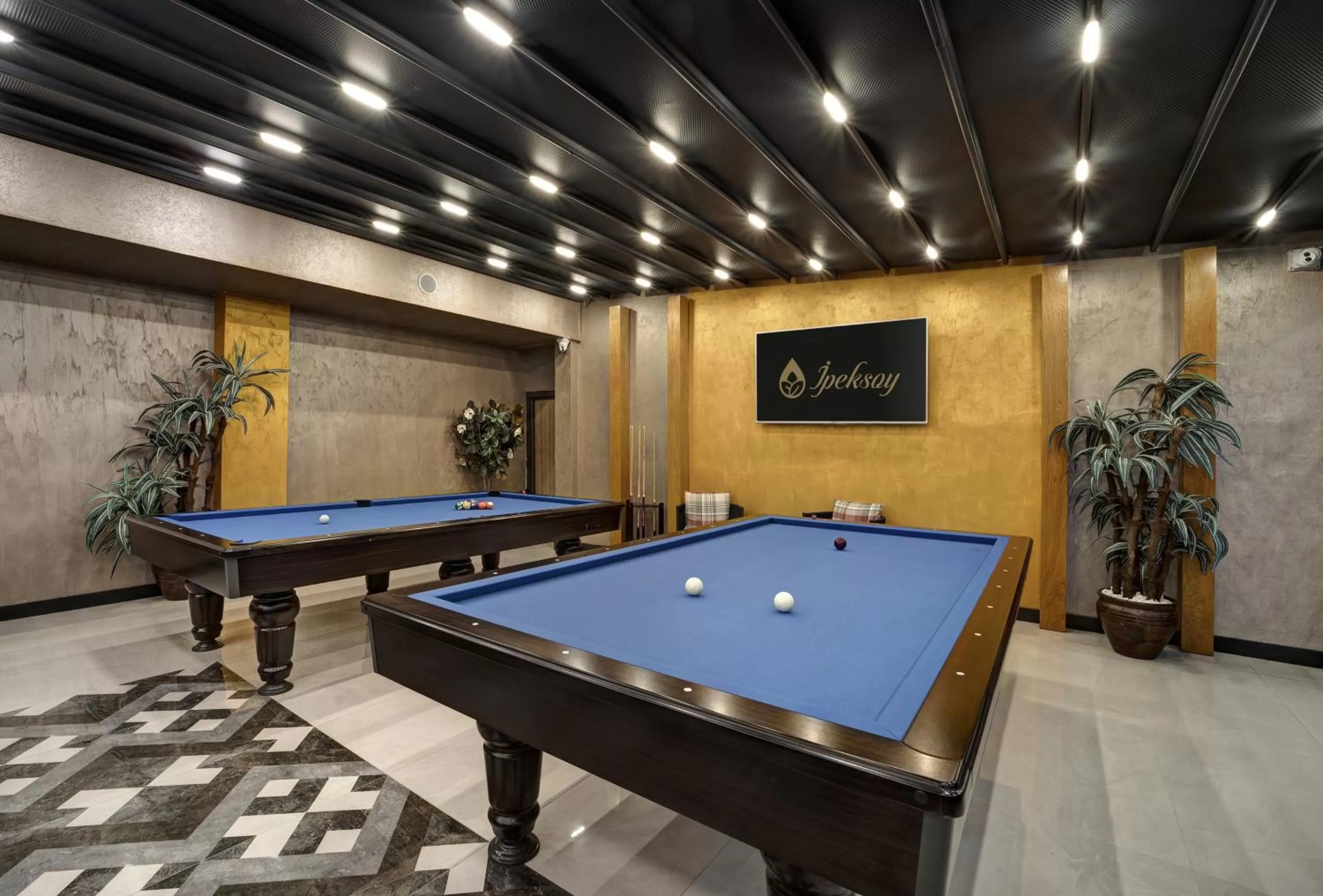 Game Room in Ipeksoy Thermal Hotel