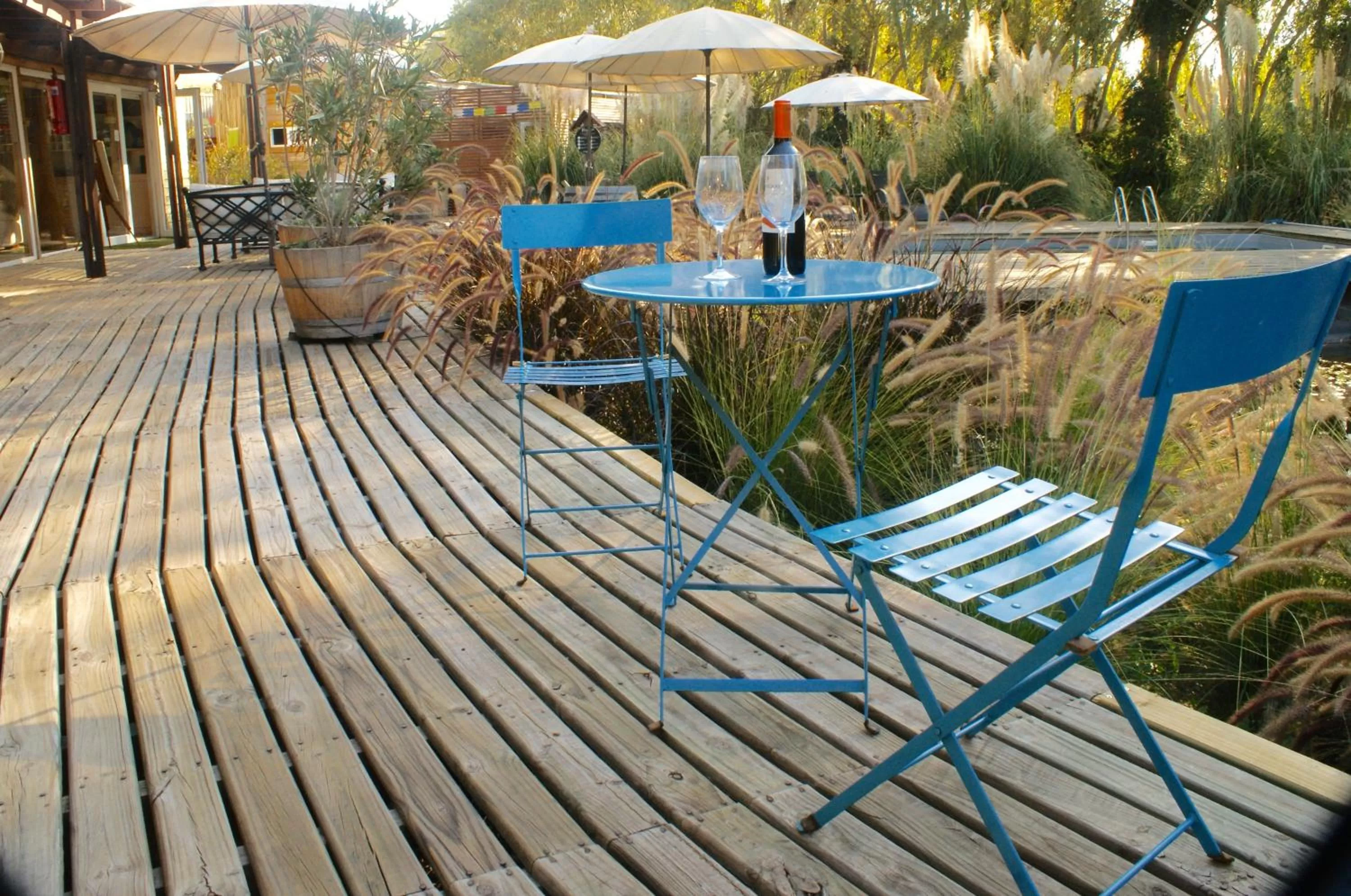 Garden view in Barrica Lodge