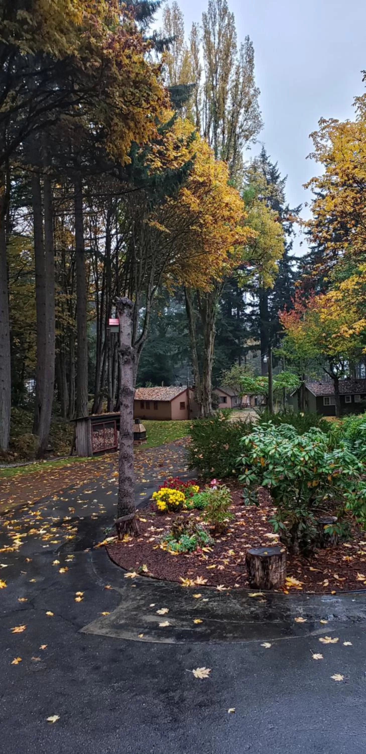Garden in Malahat Bungalows Motel