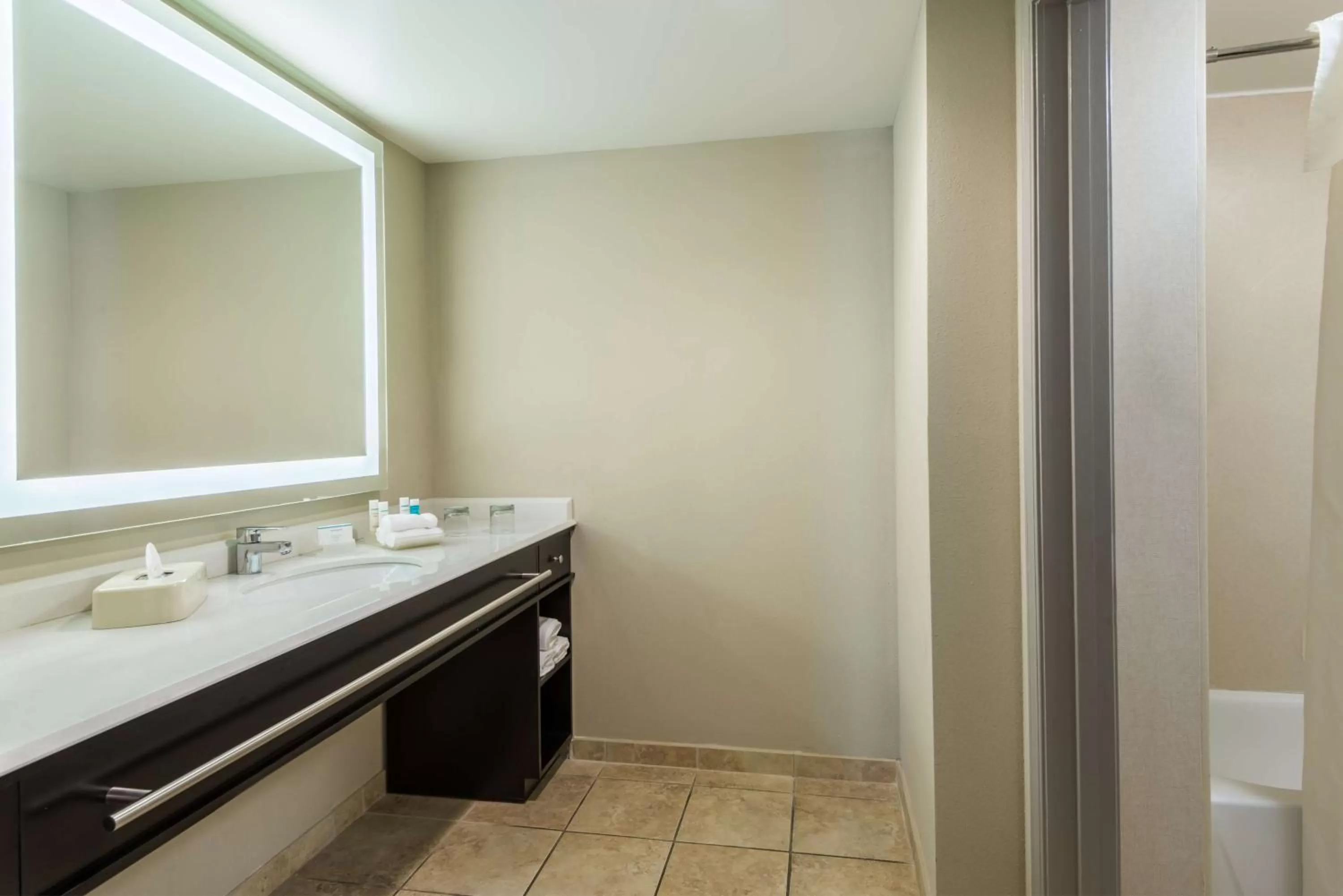 Bathroom in Larkspur Landing Extended Stay Suites St Louis Riverport