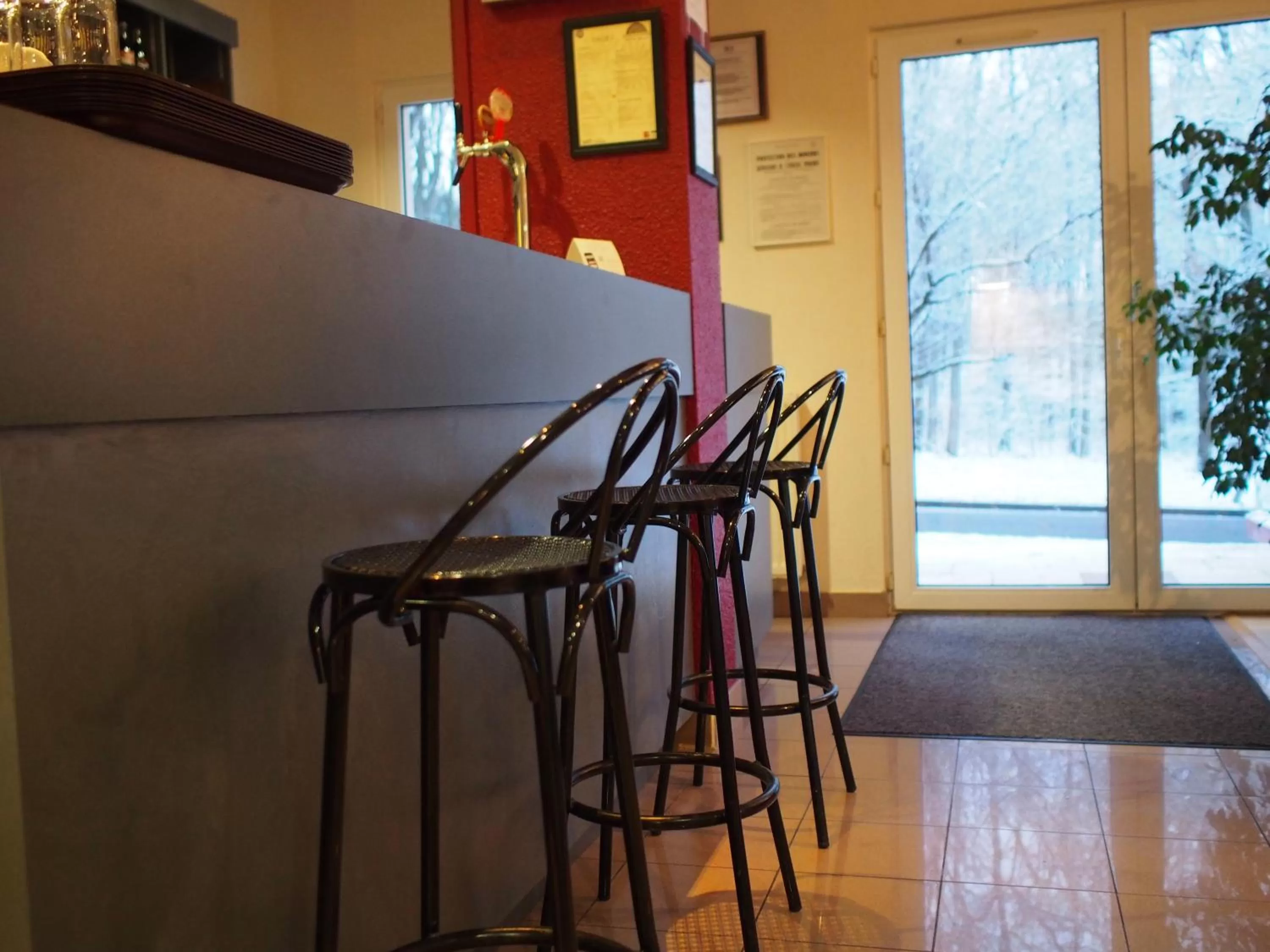 Lounge or bar in Hôtel et Restaurant Aster, Saint-Avold Nord