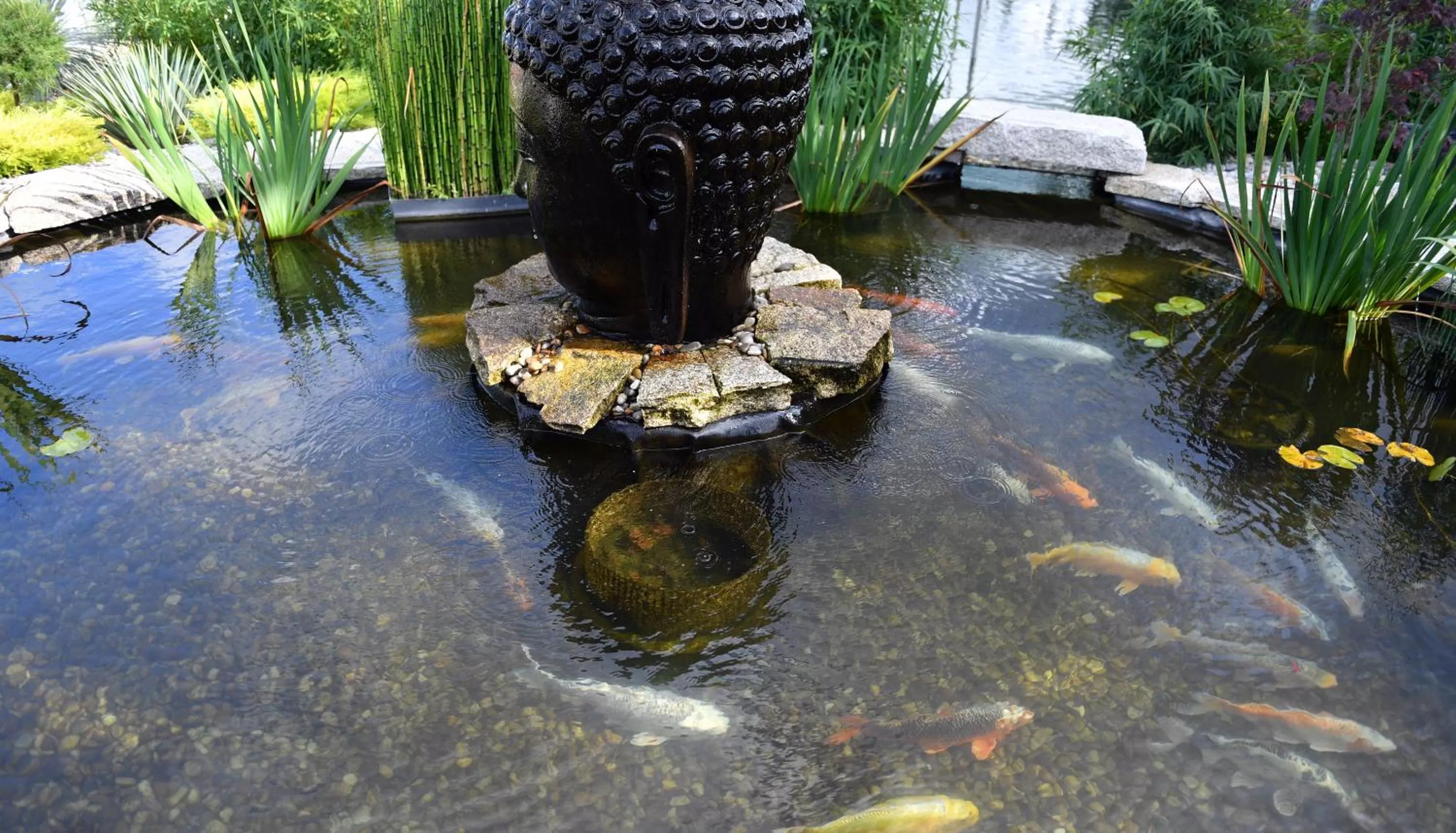 Animals in Casa das Carpas