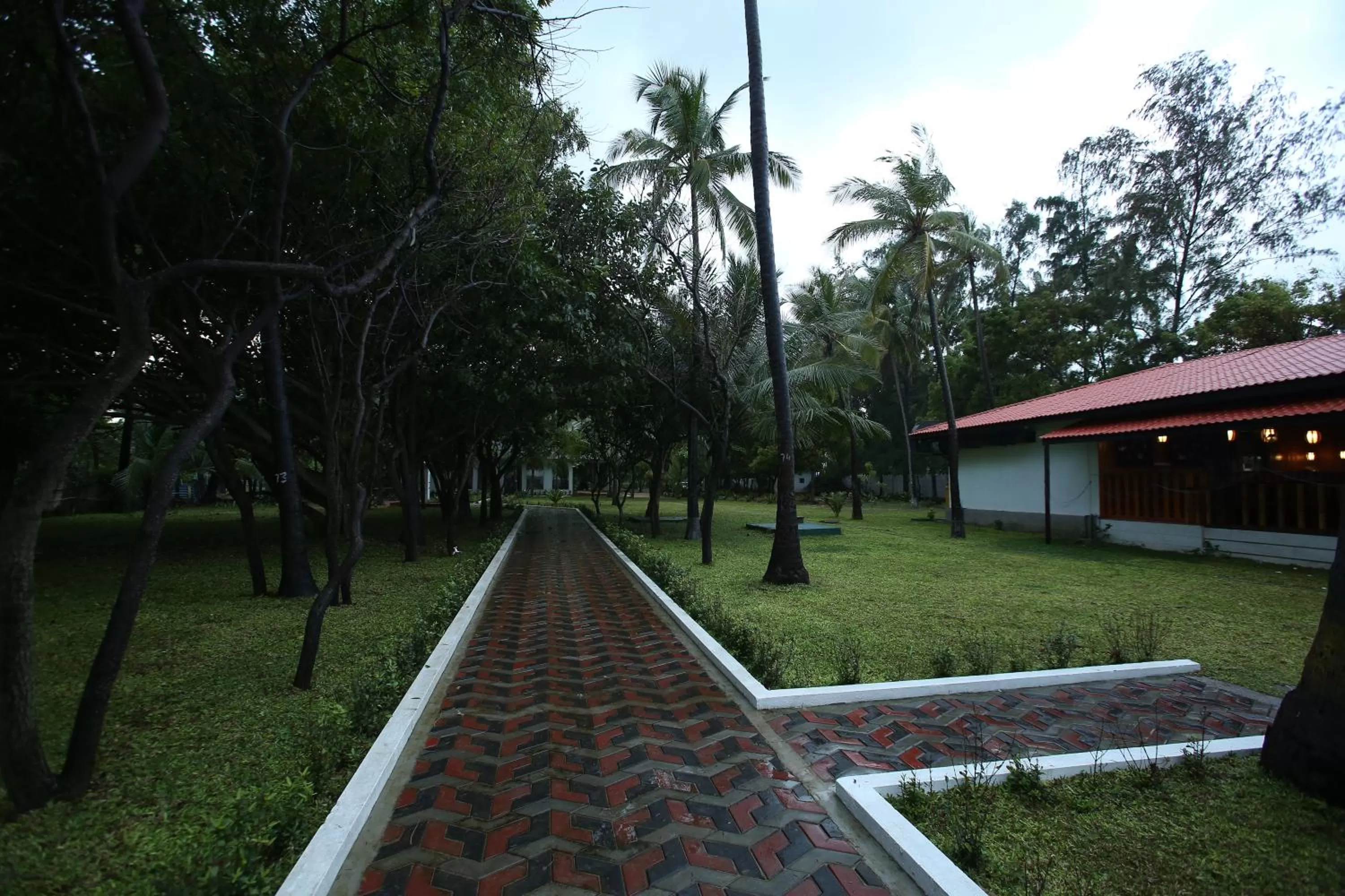 Garden in Blue Sand Beach Resort