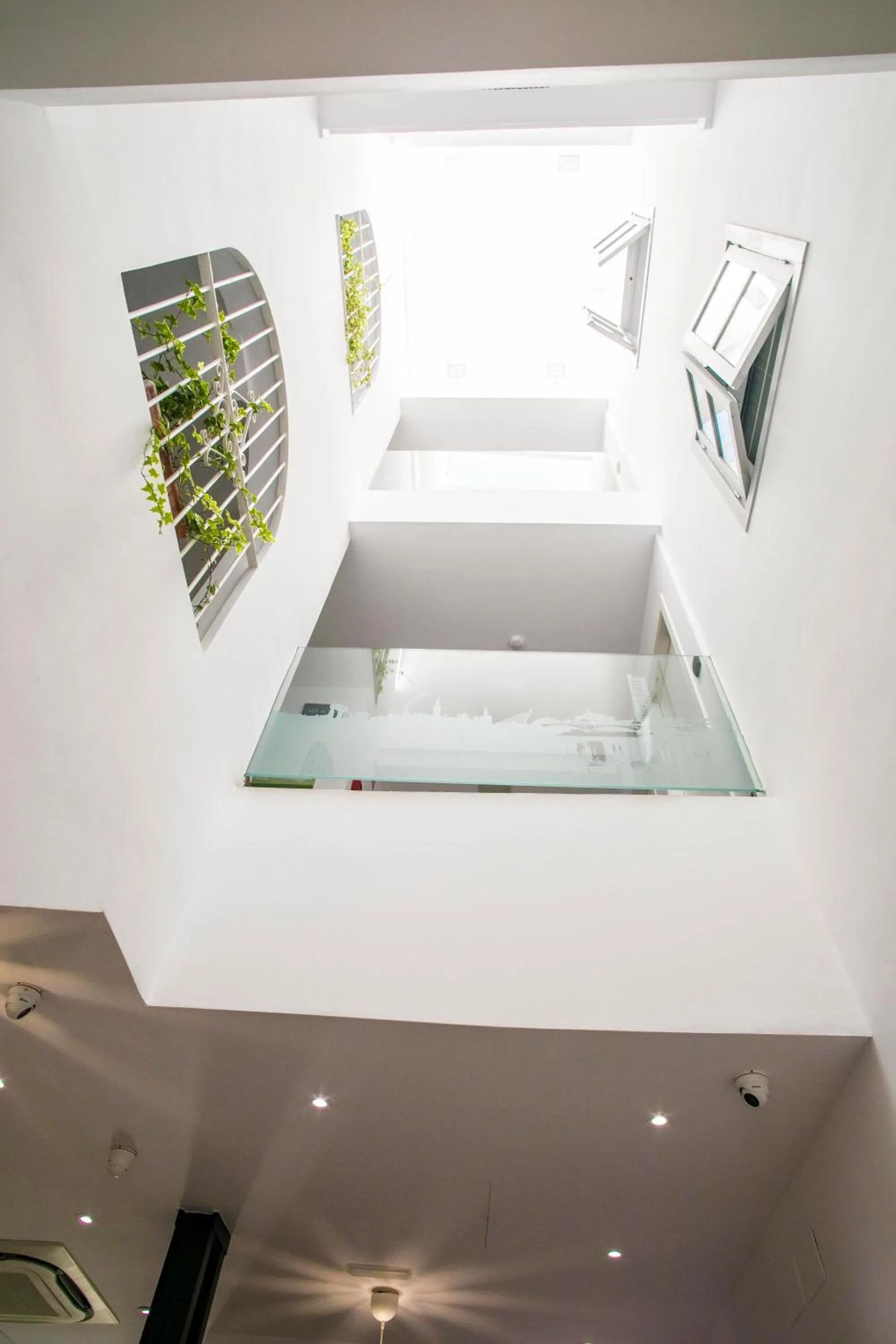 Patio in Hostal San Francisco