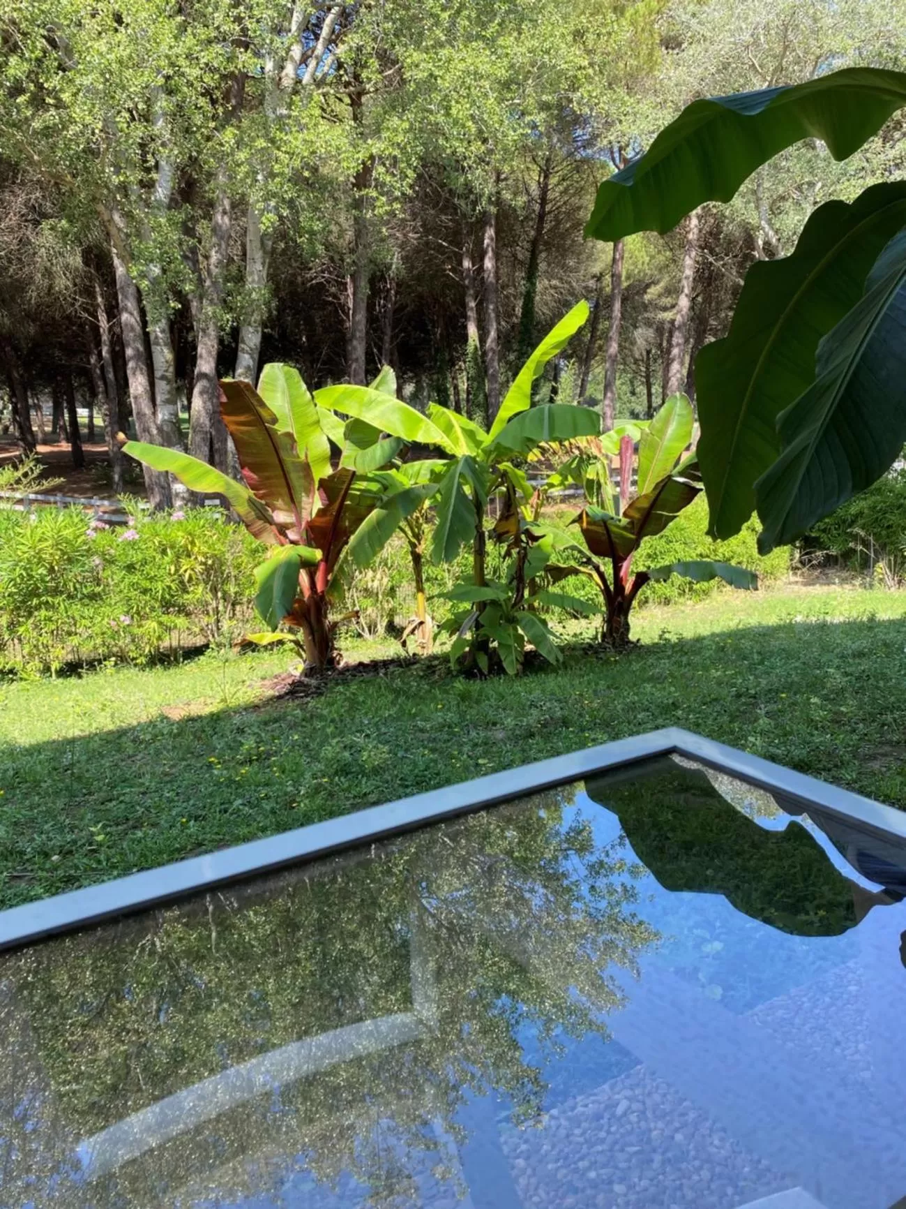 Garden in GOLF HOTEL