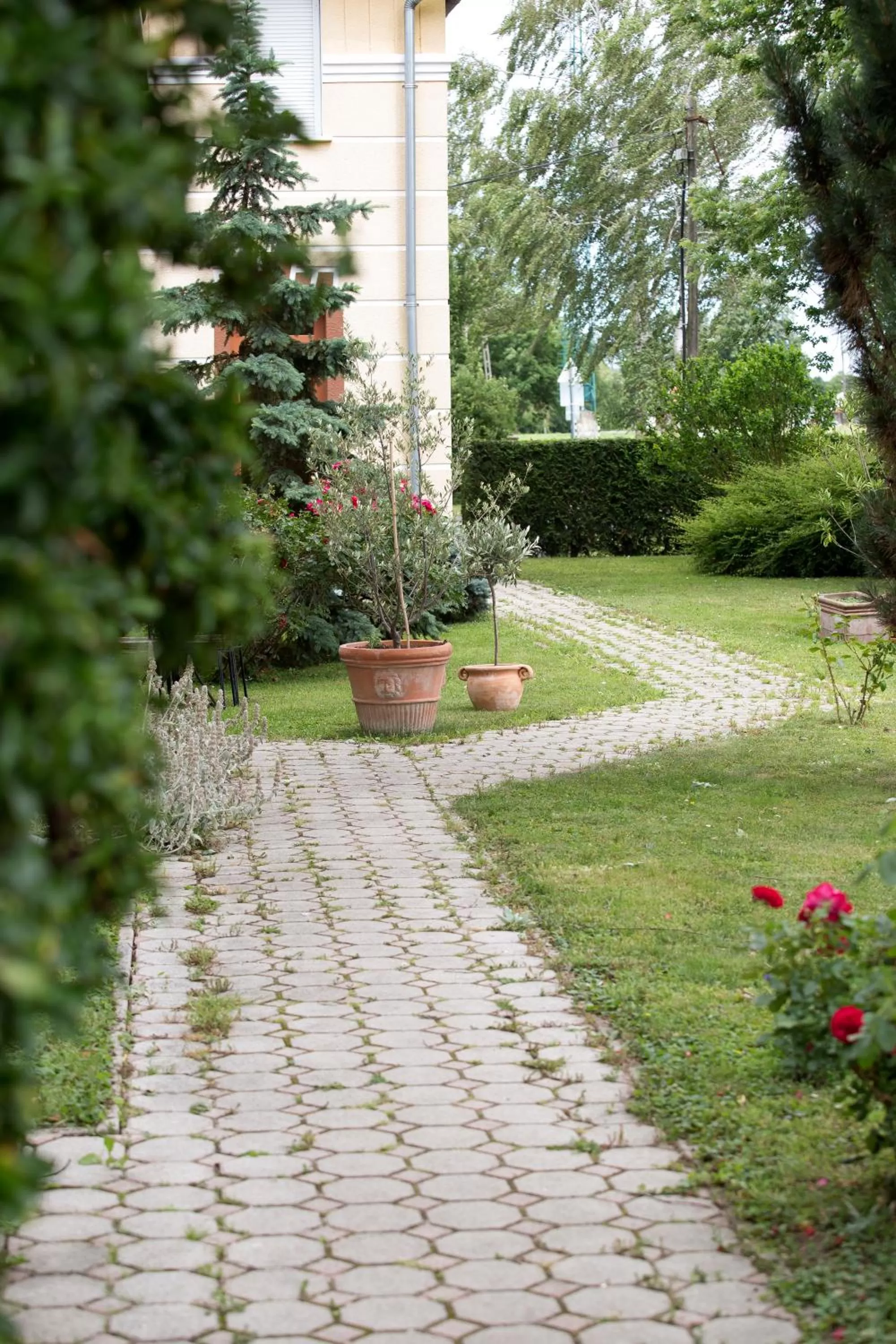 Garden in Hotel Zéta
