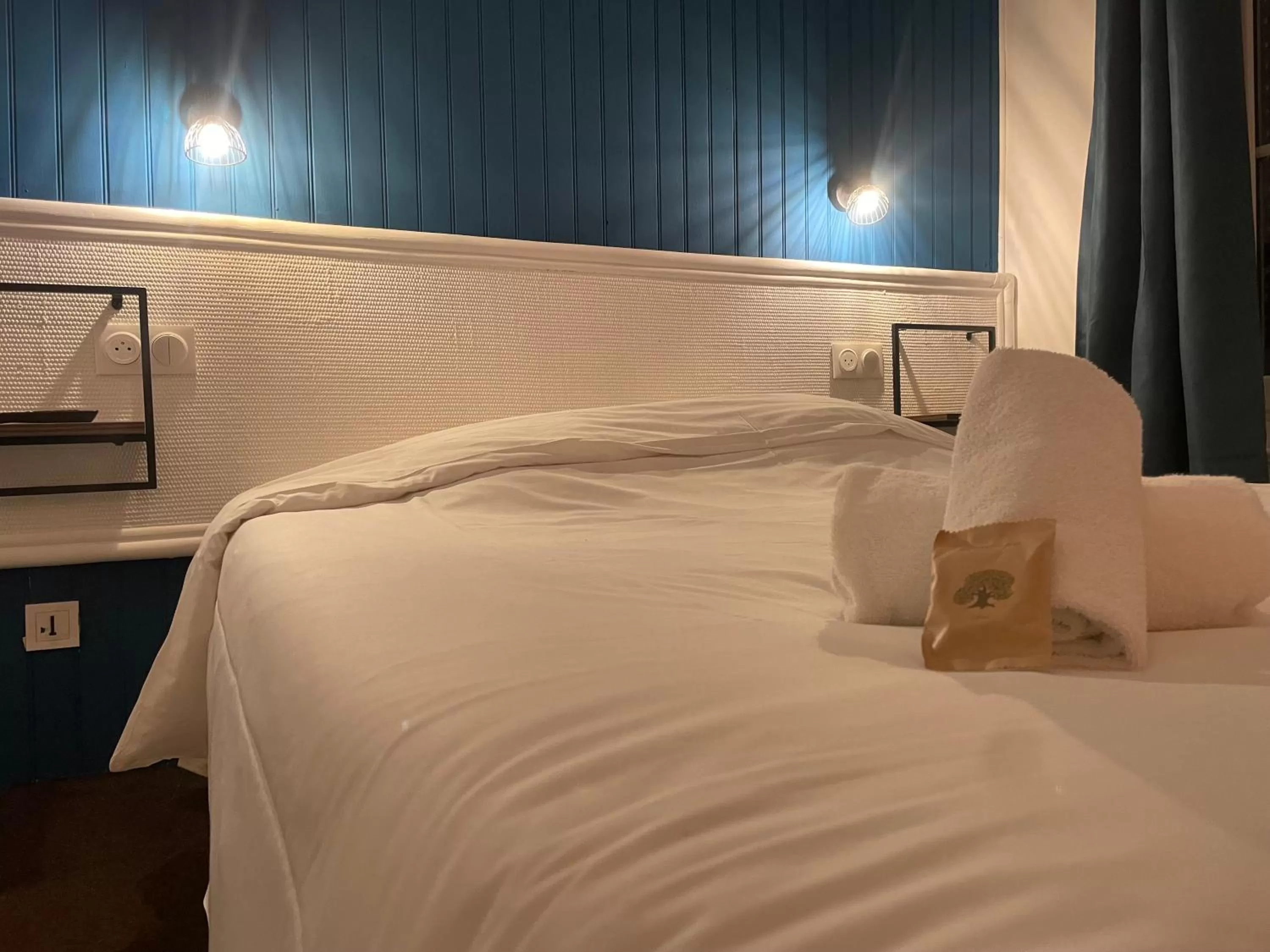 Bed in Hôtel & Restaurant Le Patio VICHY