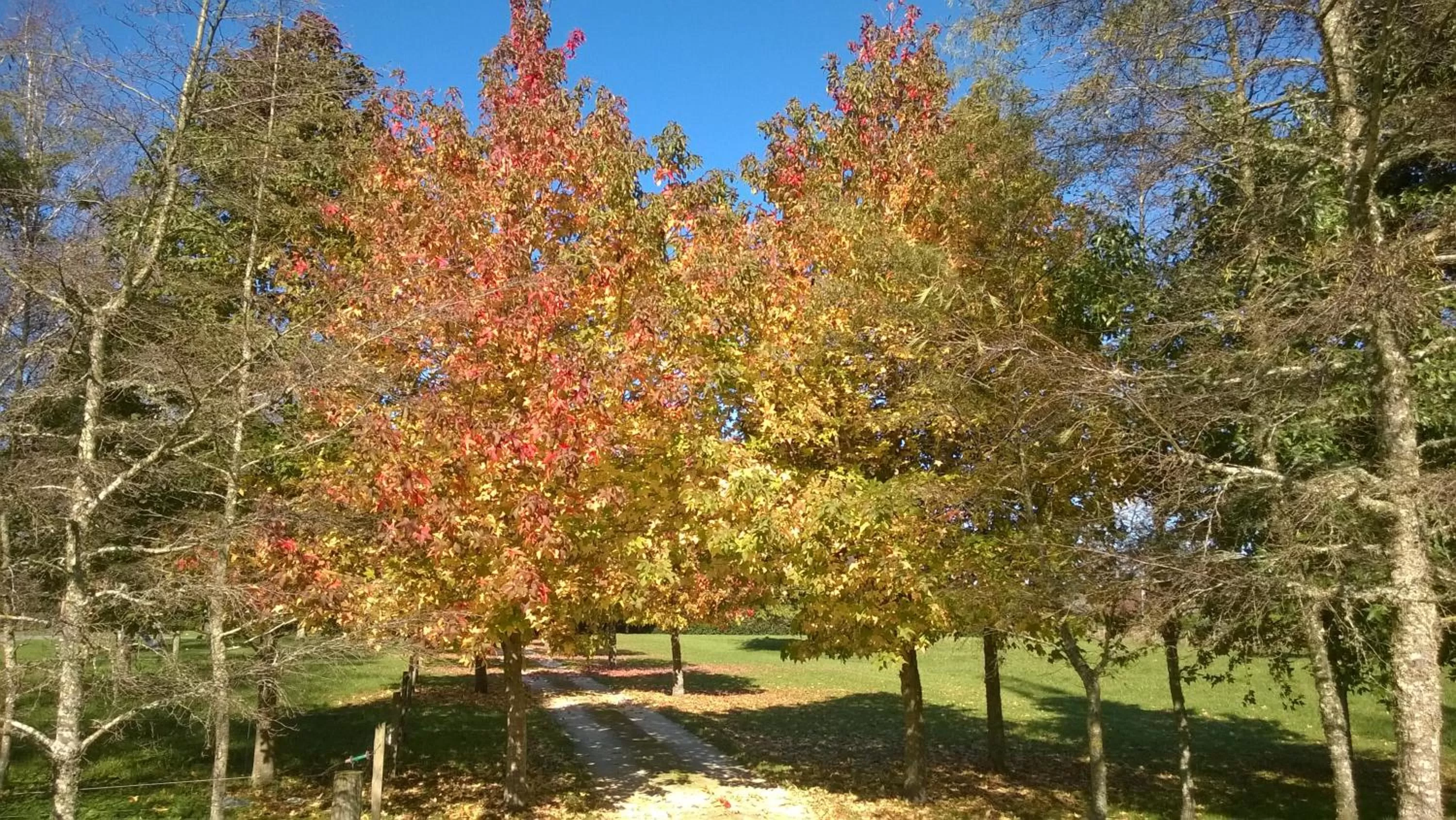 Natural landscape, Garden in Korbaylen Estate