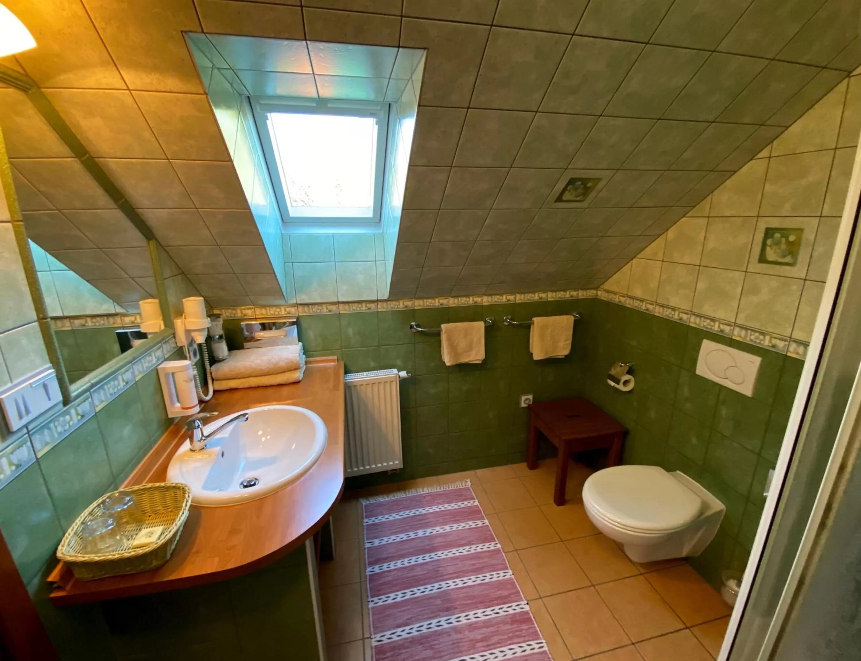 Twin Room - single occupancy in Hotel Na Dolině