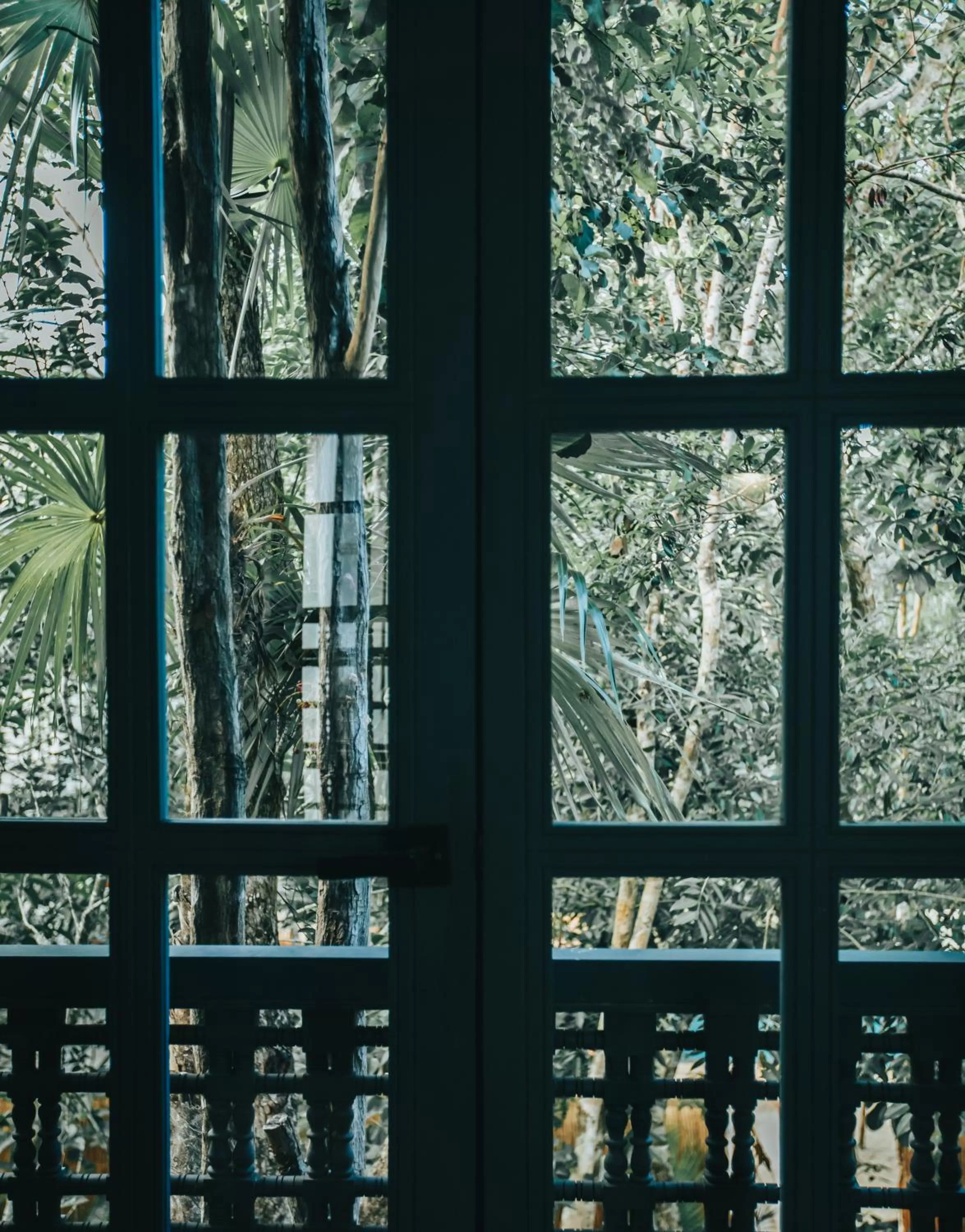 Day in Ambre & Epices Jungle Hotel & Spa