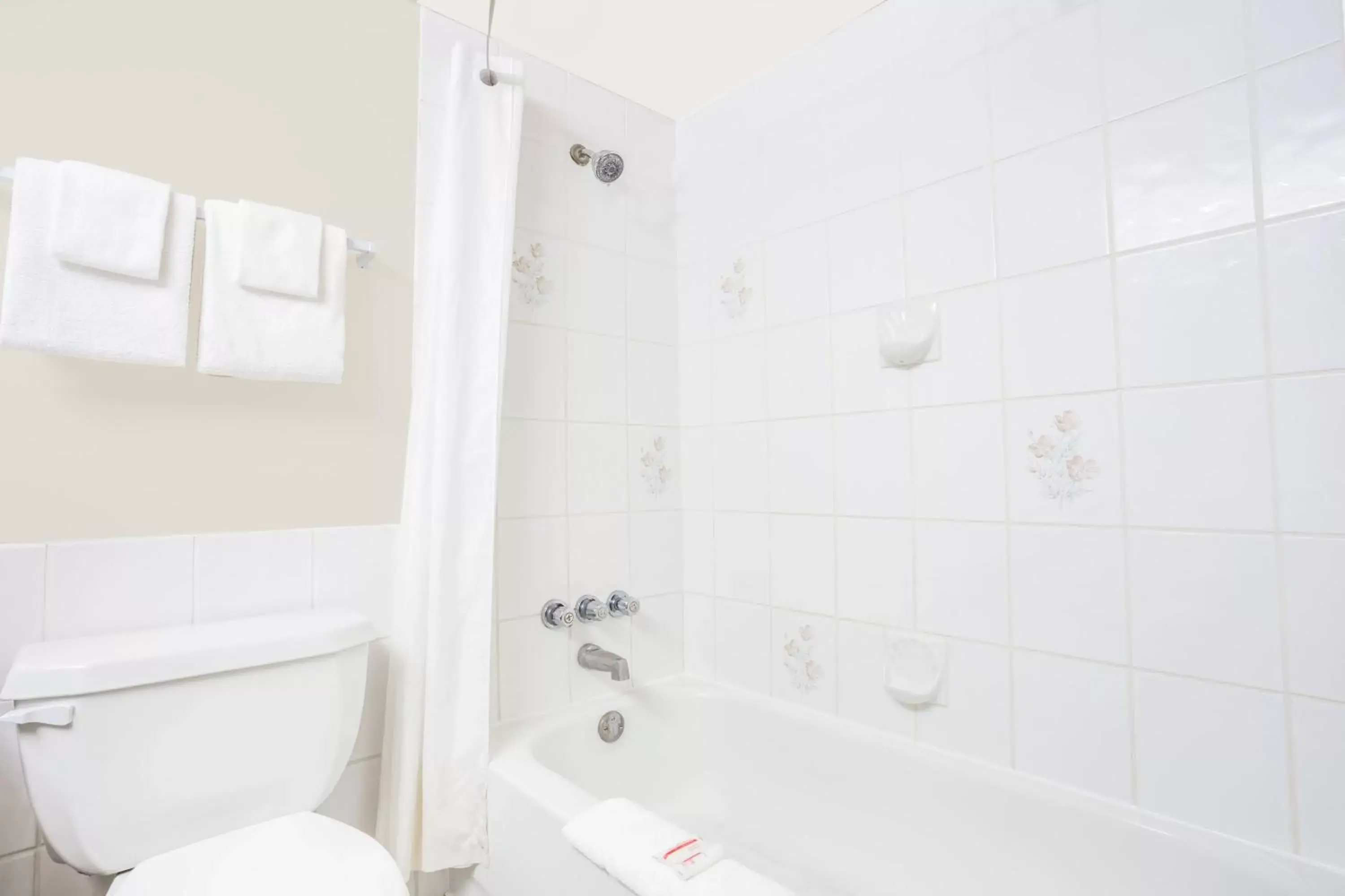 Queen Room in Super 8 by Wyndham Quesnel BC Queen Room in Super 8 by Wyndham Quesnel BC