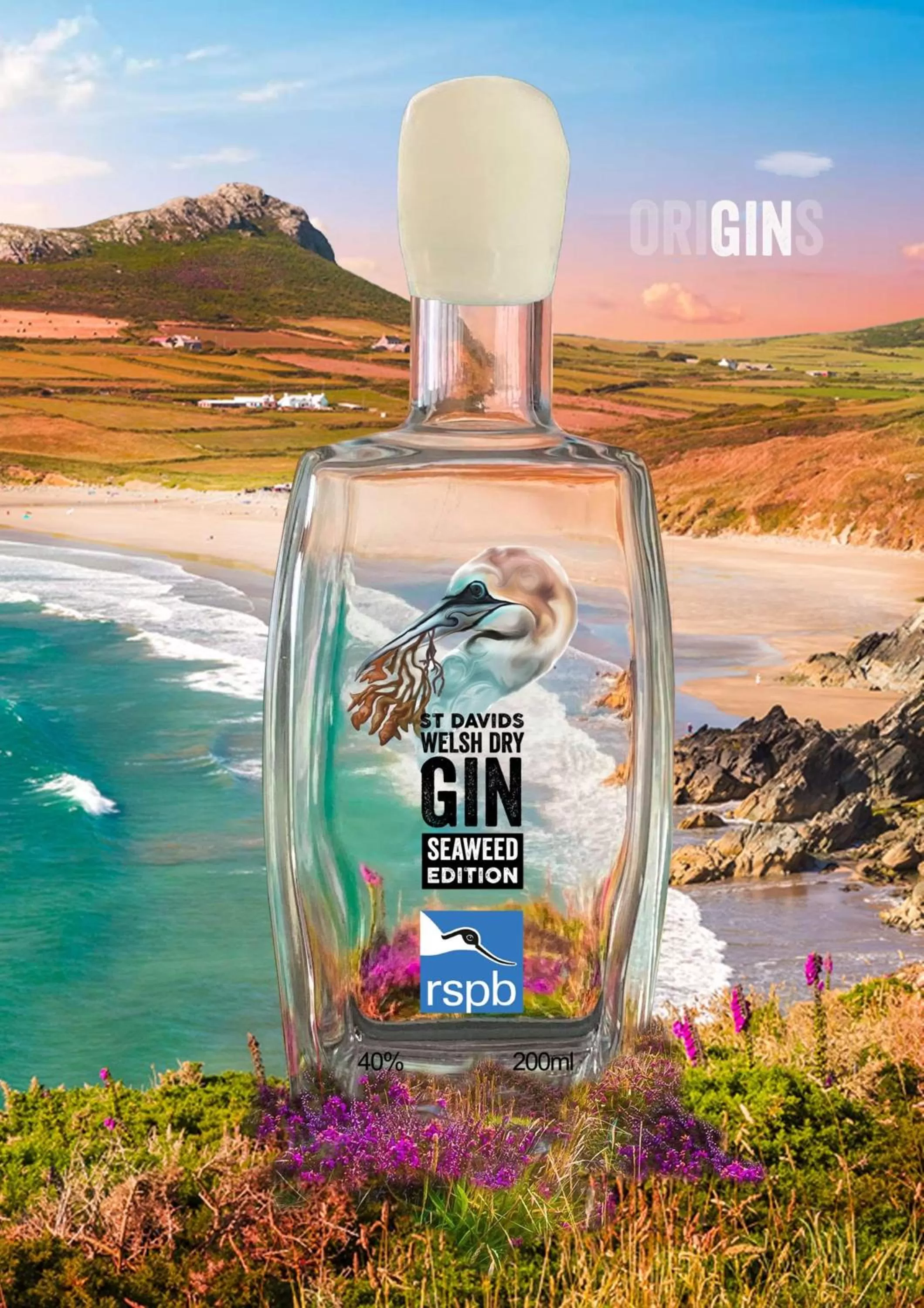 Other in St Davids Gin & Kitchen - The Cathedral Villas