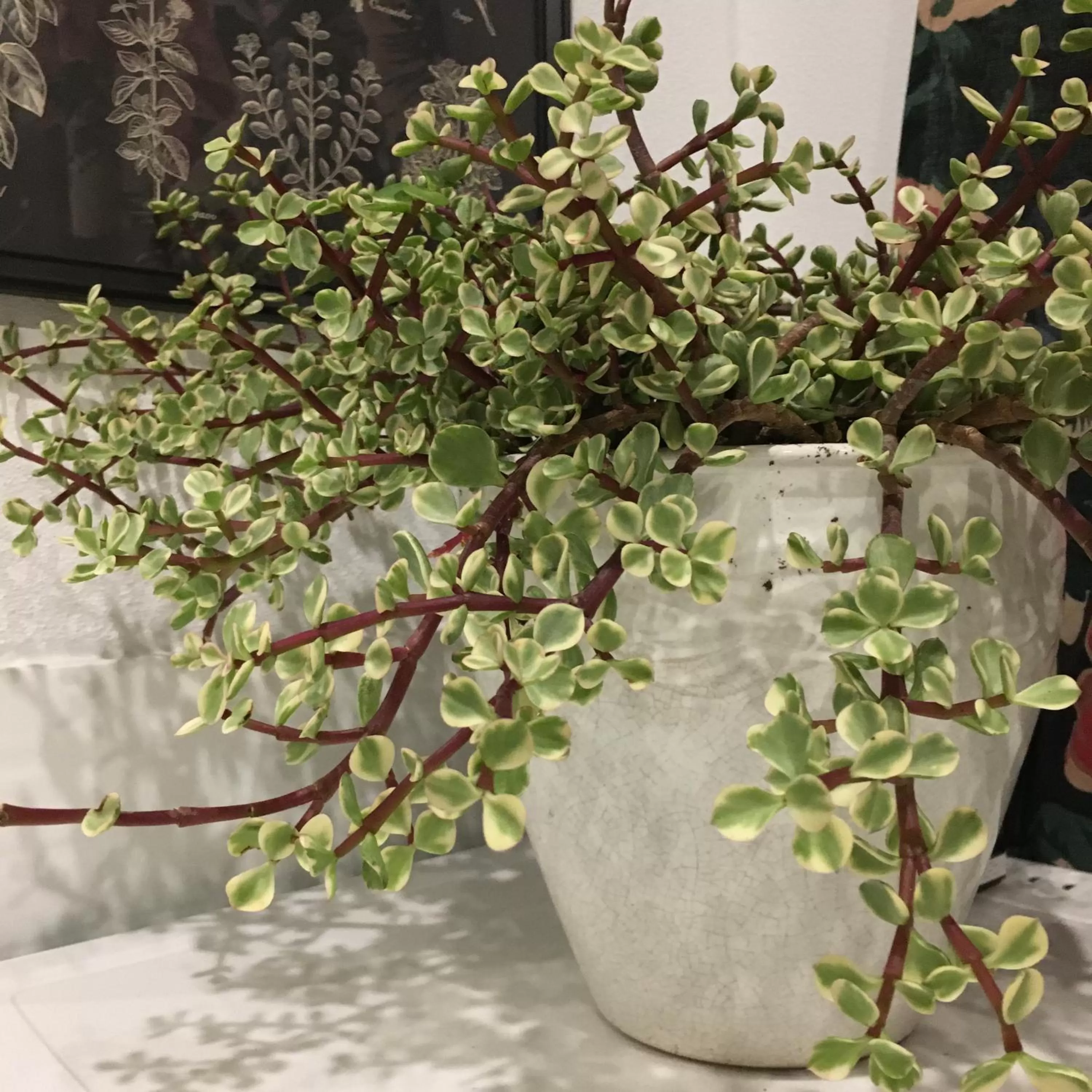 Pokoje w Starej Karczmie - by Upstairs