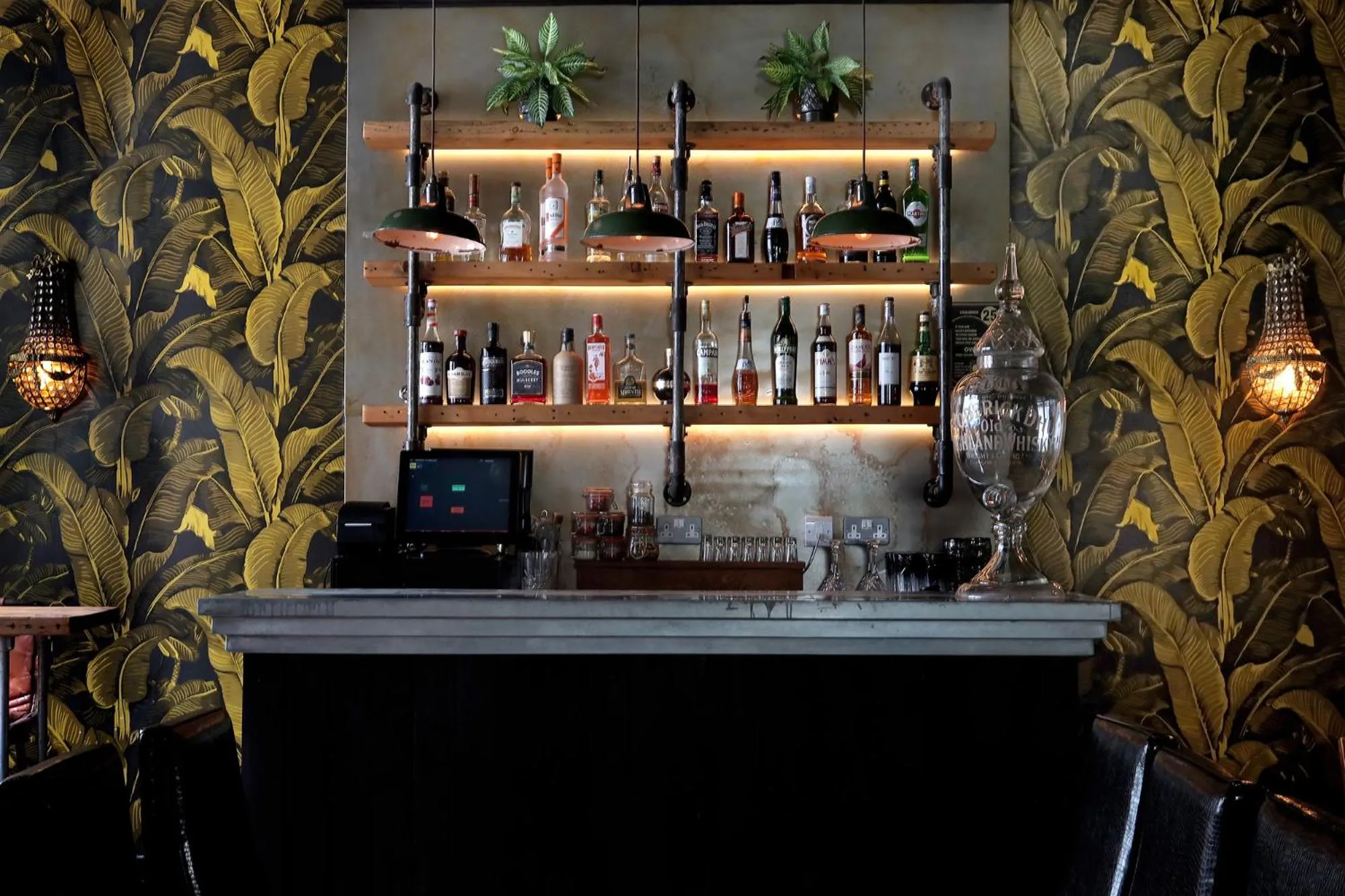 Lounge or bar in The Southern Belle