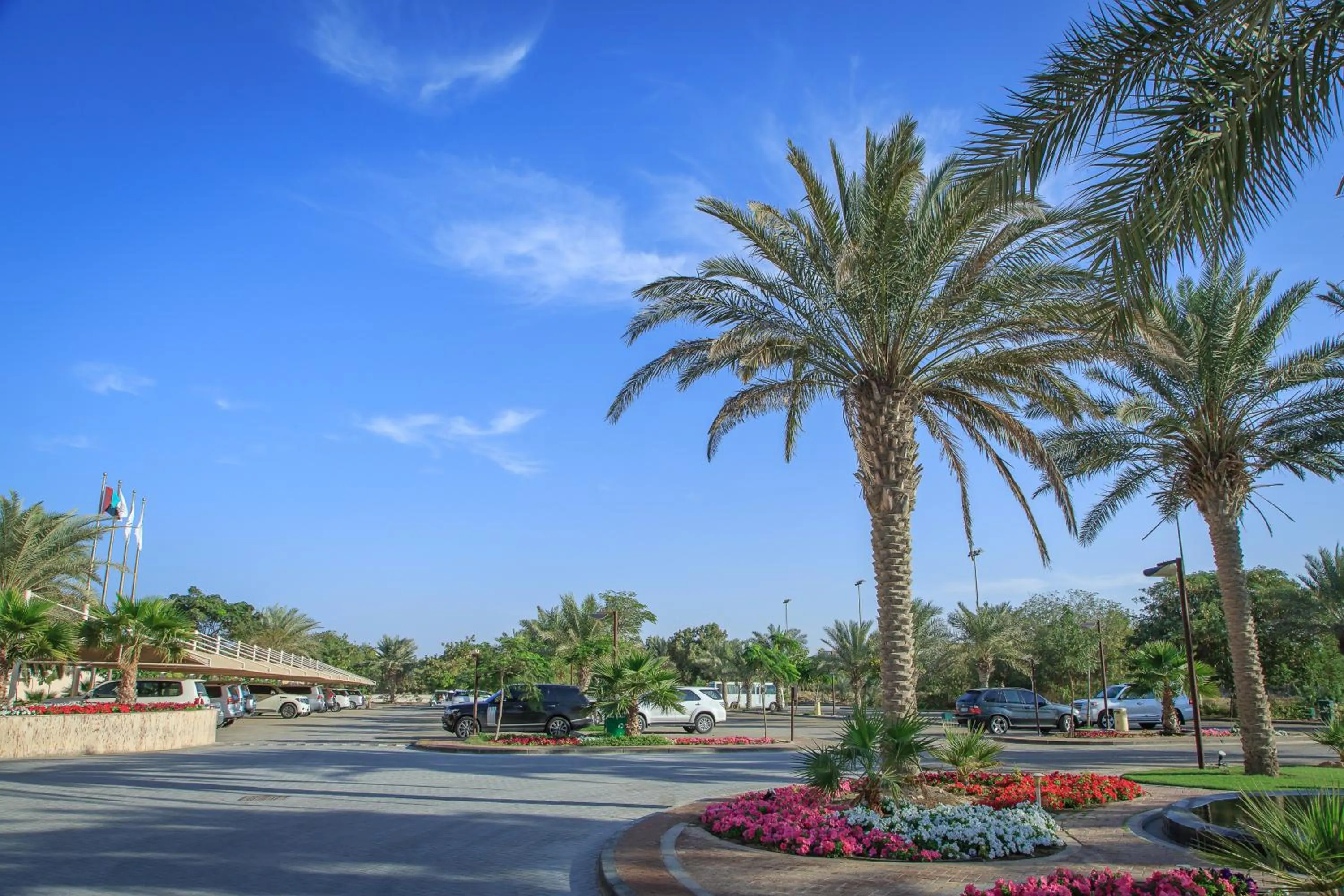 View (from property/room) in Danat Jebel Dhanna Resort