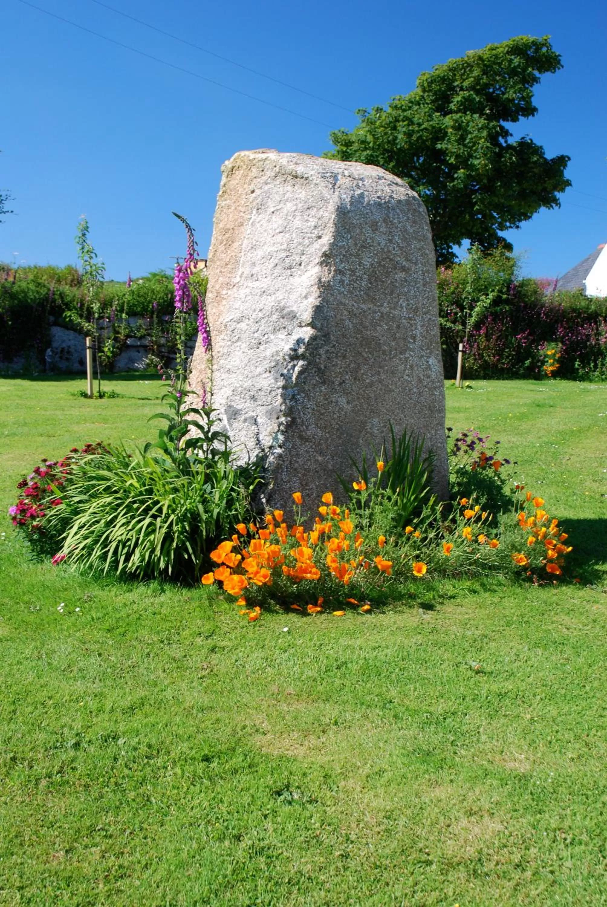 Facade/entrance in Fig Tree House