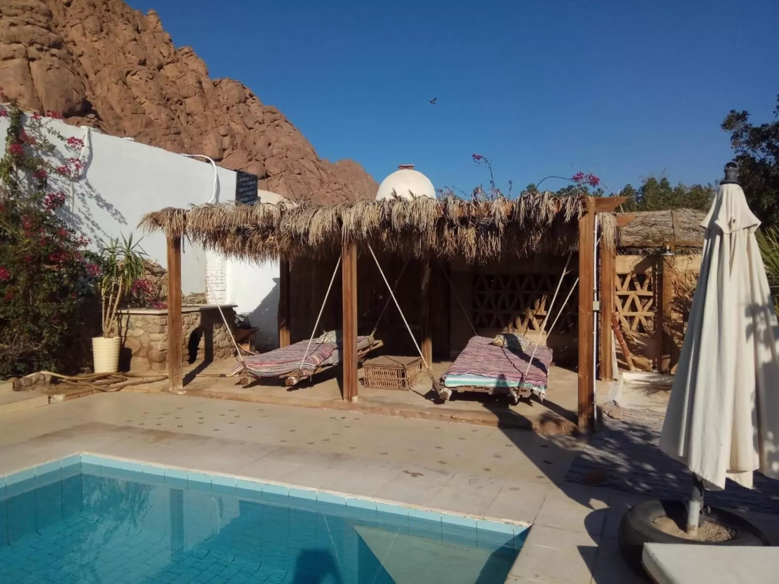 Garden, Swimming Pool in Sinai Old Spices B&B