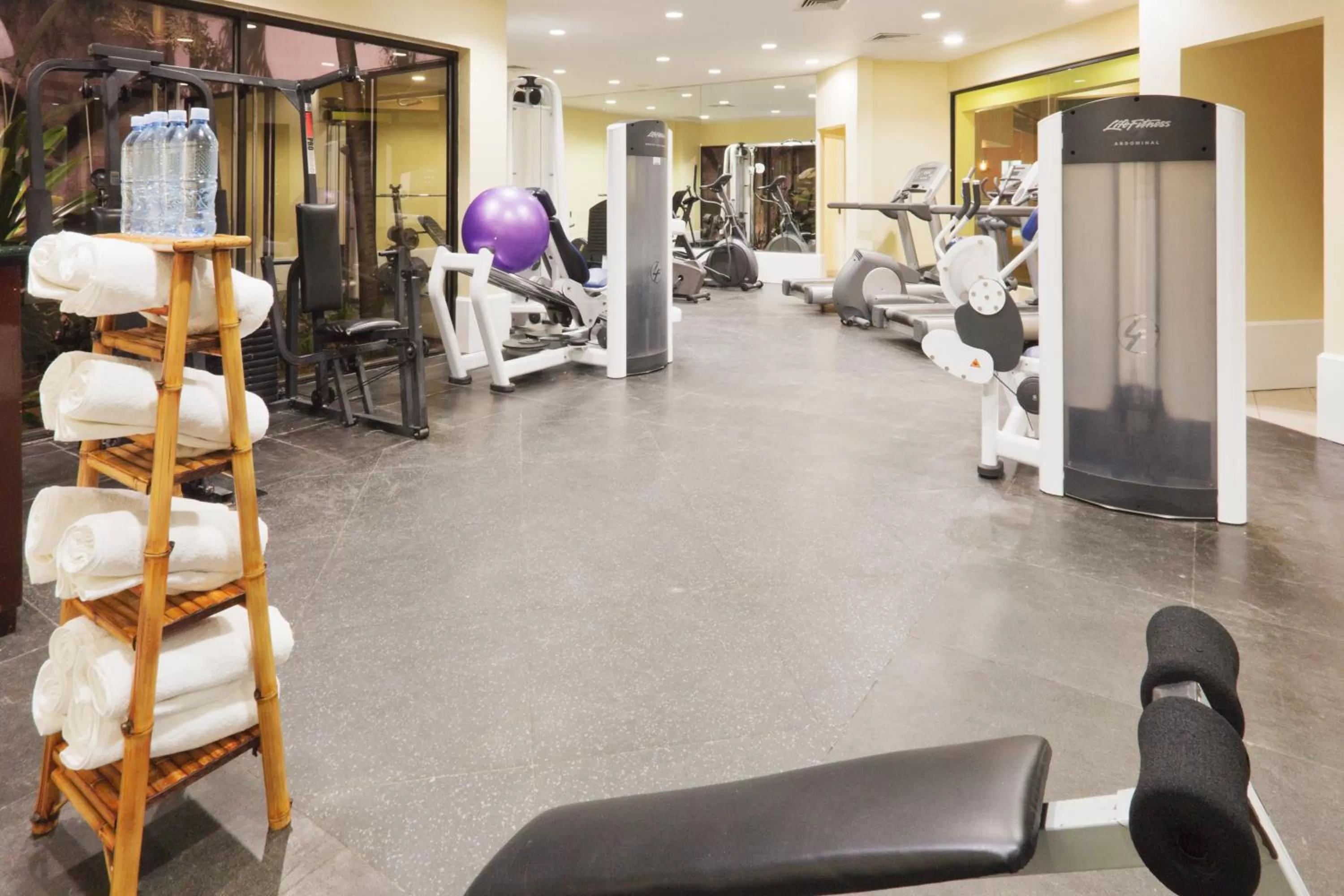 Fitness centre/facilities in Holiday Inn Convention Center by IHG
