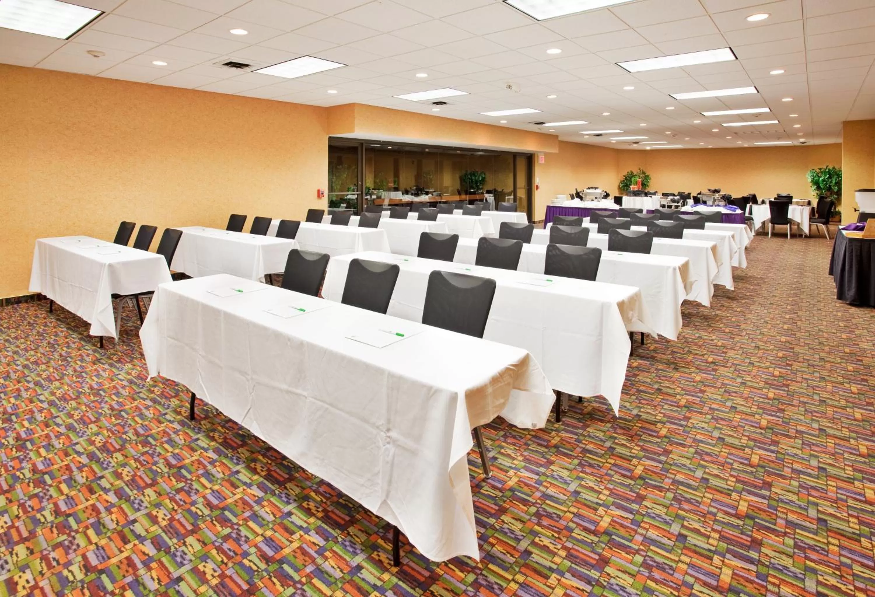 Meeting/conference room in Holiday Inn At the Campus by IHG
