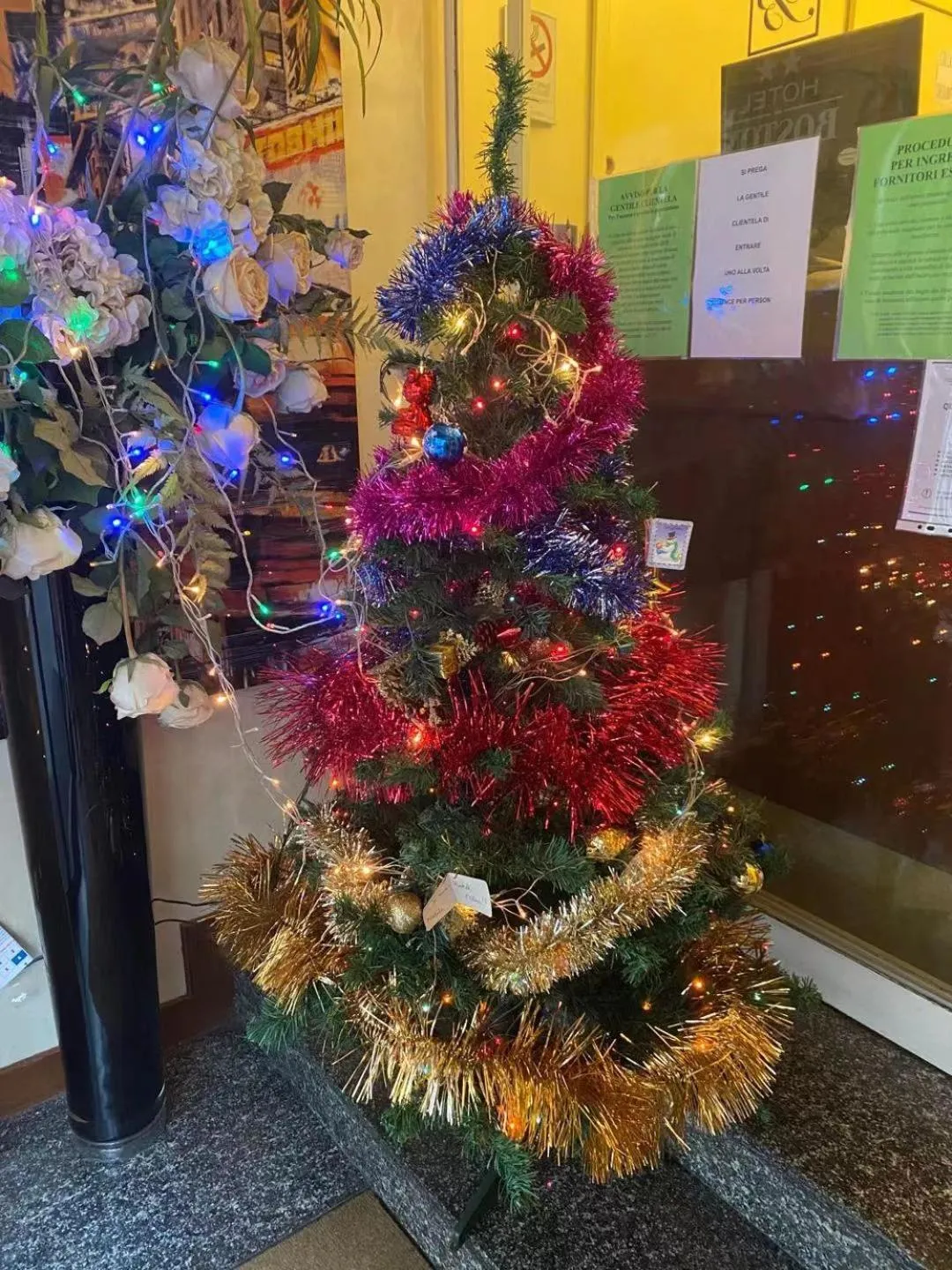 Garden in Hotel Boston