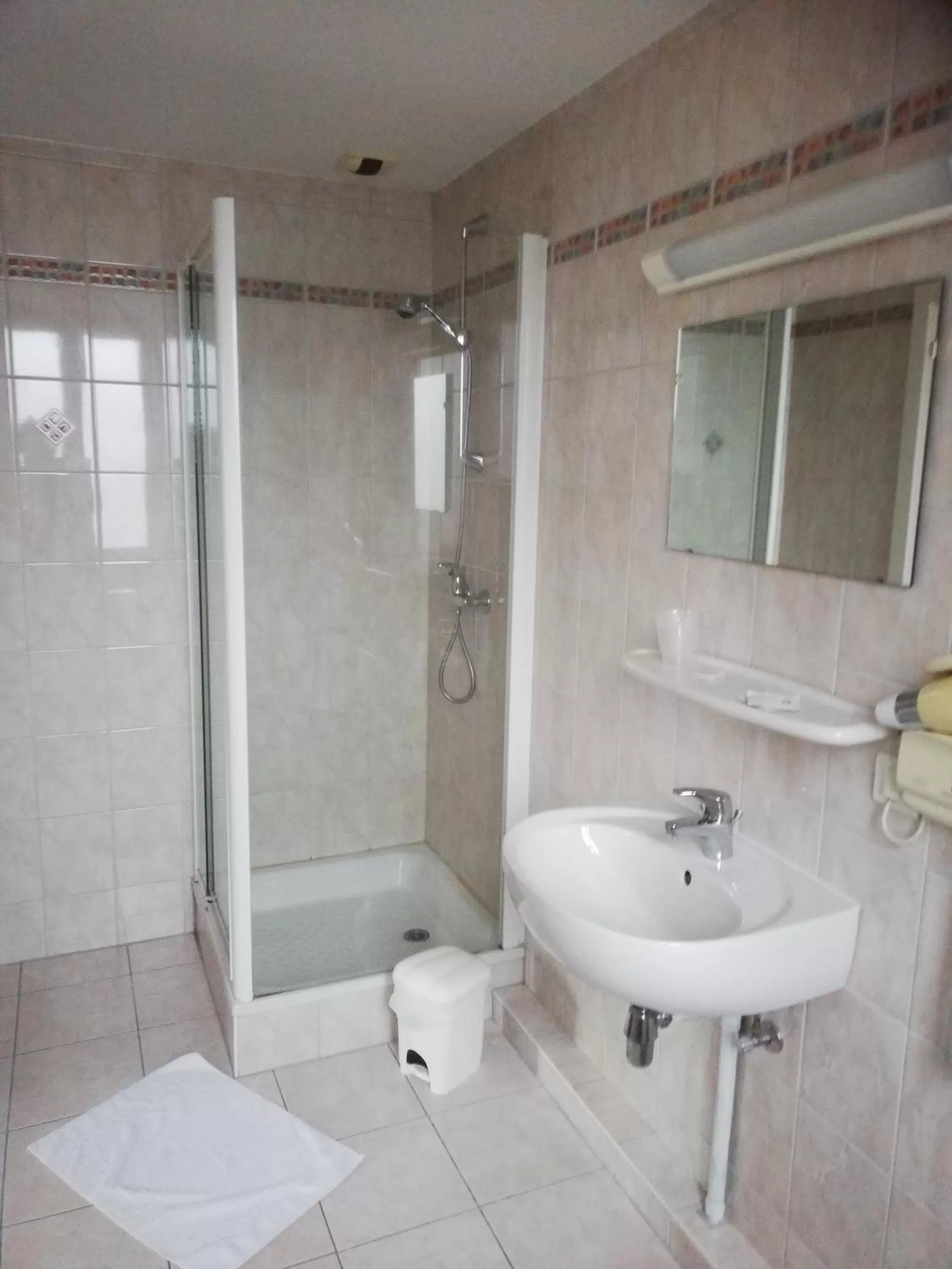 Bathroom in Hôtel Restaurant Le Moschenross