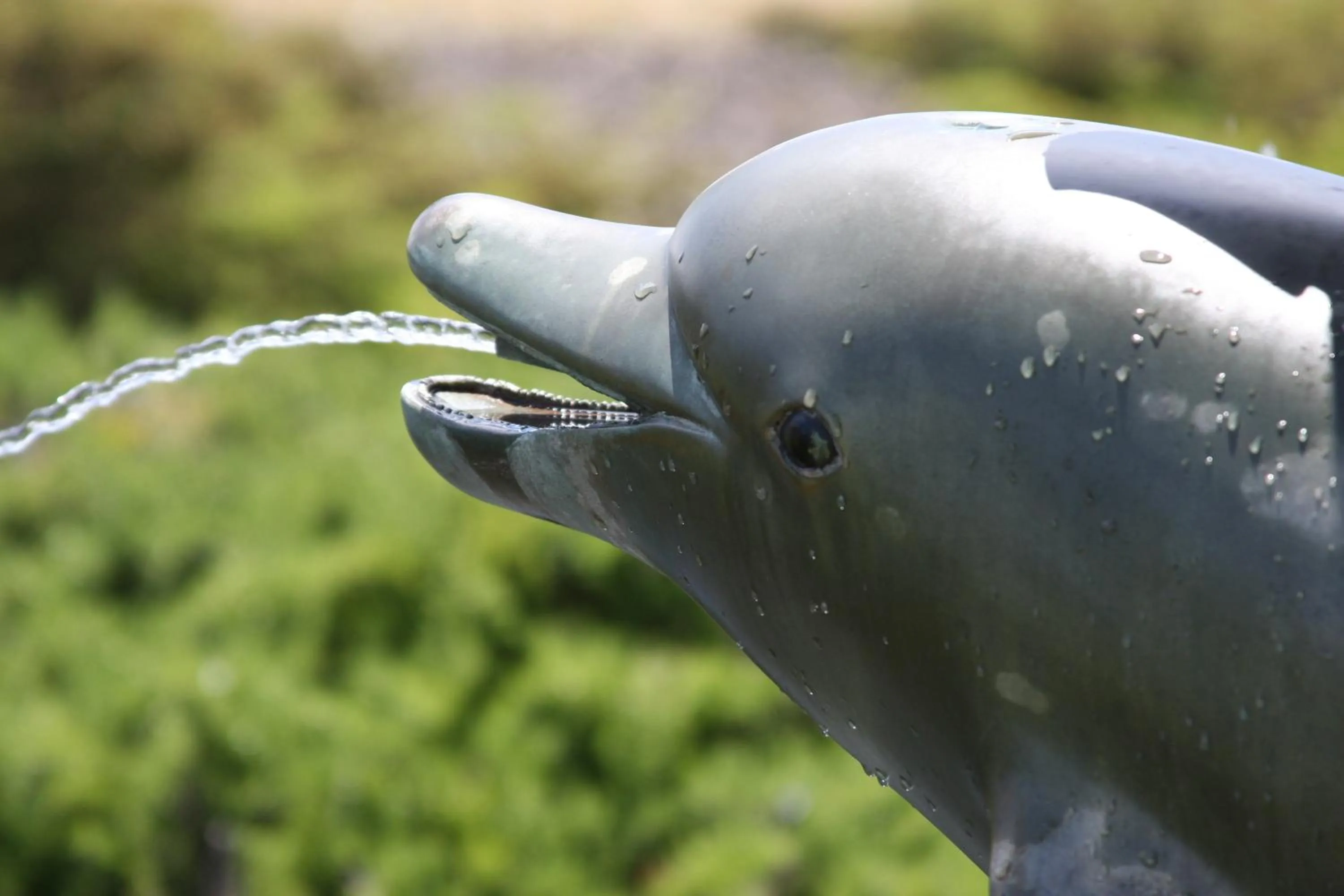 Decorative detail in Emerald Dolphin Inn & Mini Golf