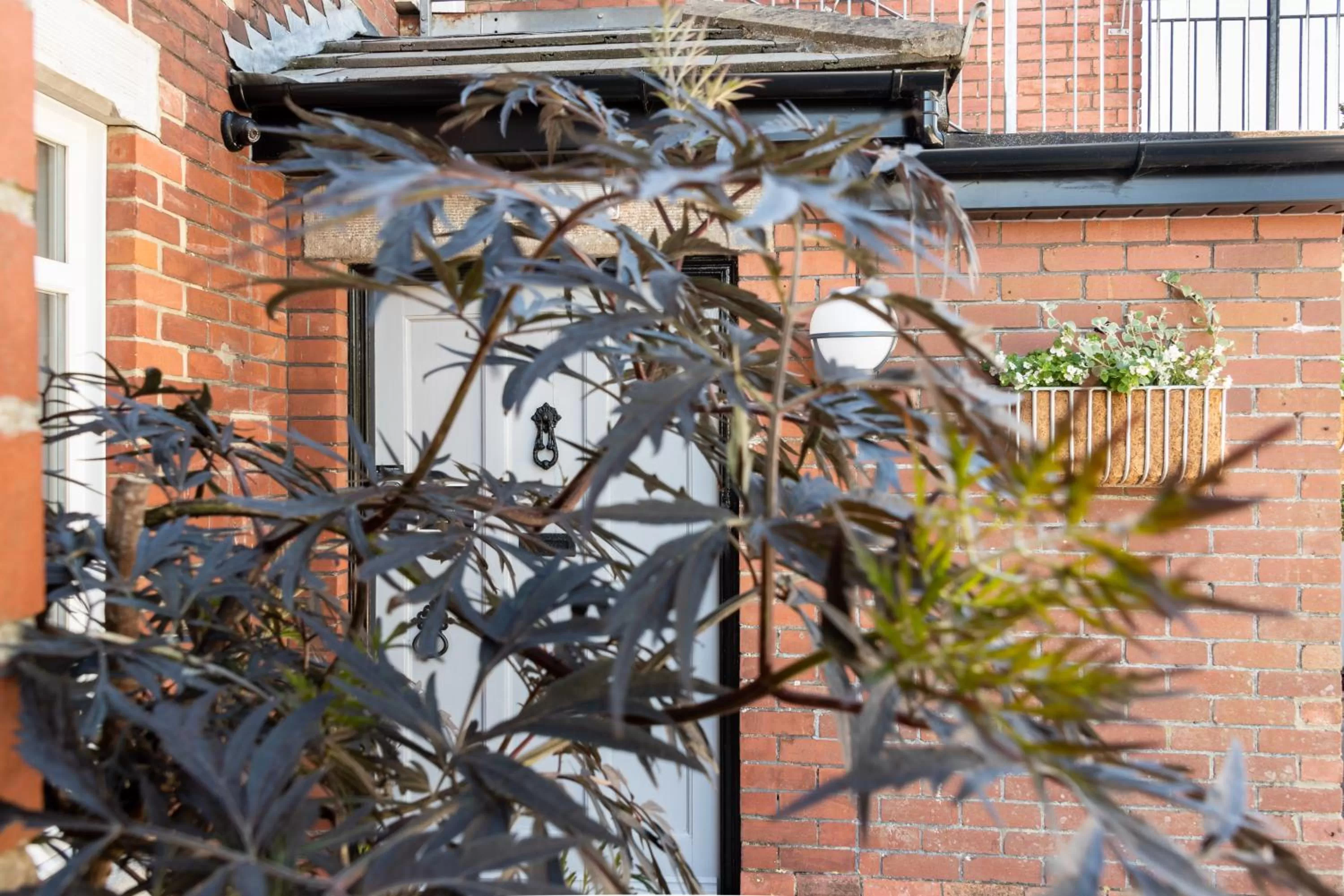 The Dartmouth Boutique B &B